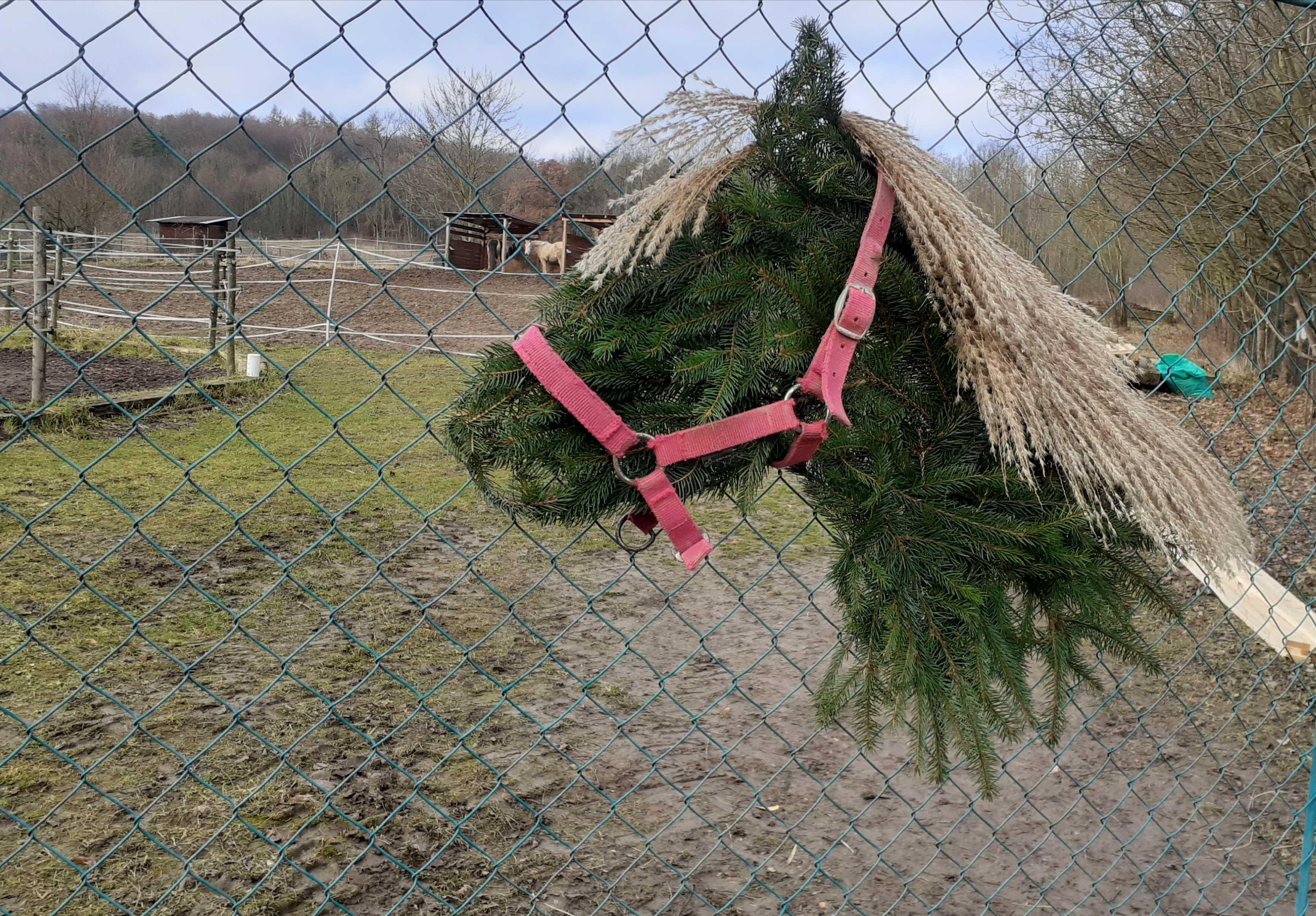 SPORTOVNÍ STÁJ VONDRÁČEK foto 2