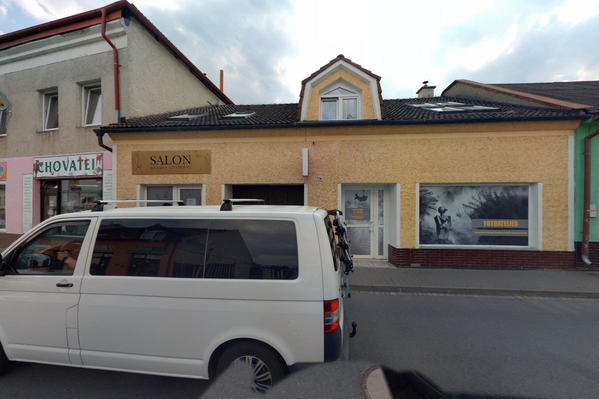 Fyzioterapie pro psy - Nicole Škopíková foto 2