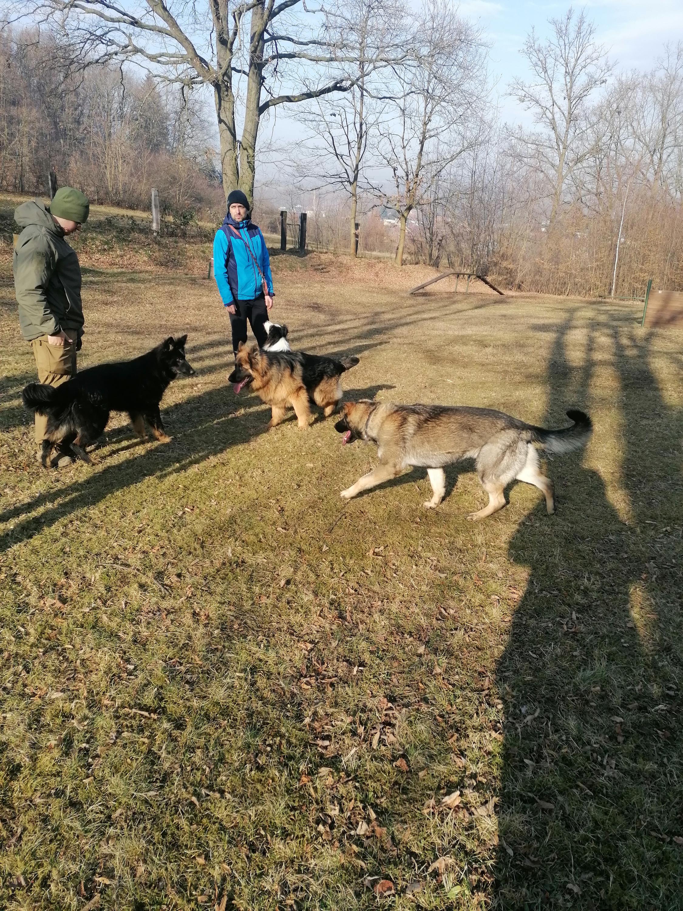 Kynologický cvičák Smolkov foto 3