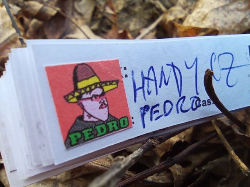 PEDRO foto 2