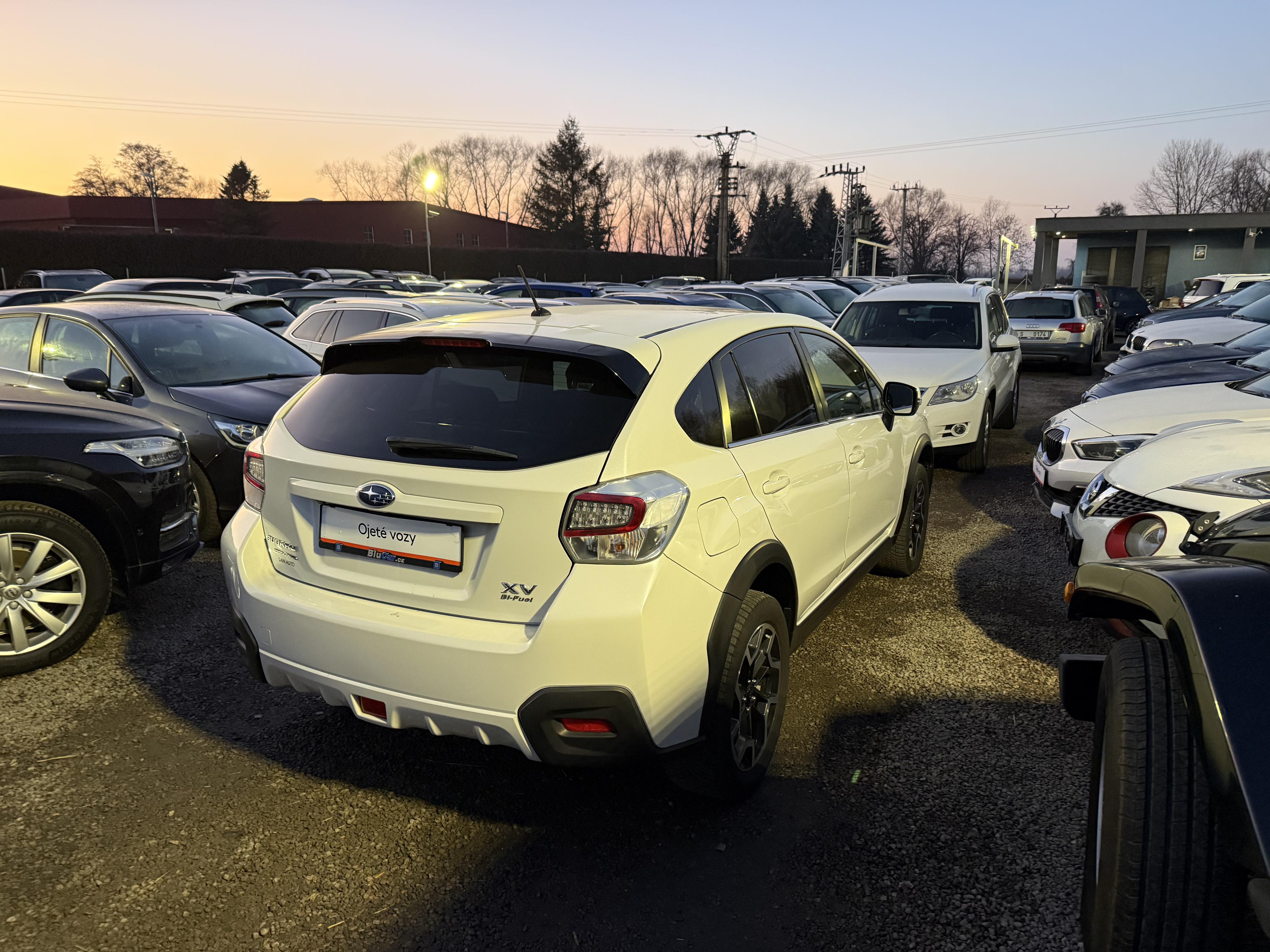 Blucar, Libor Urban - ojeté vozy foto 6