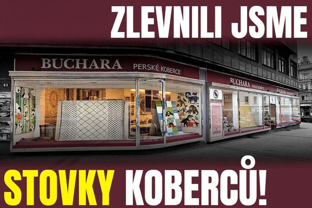 ZLEVNILI JSME STOVKY KOBERCŮ!