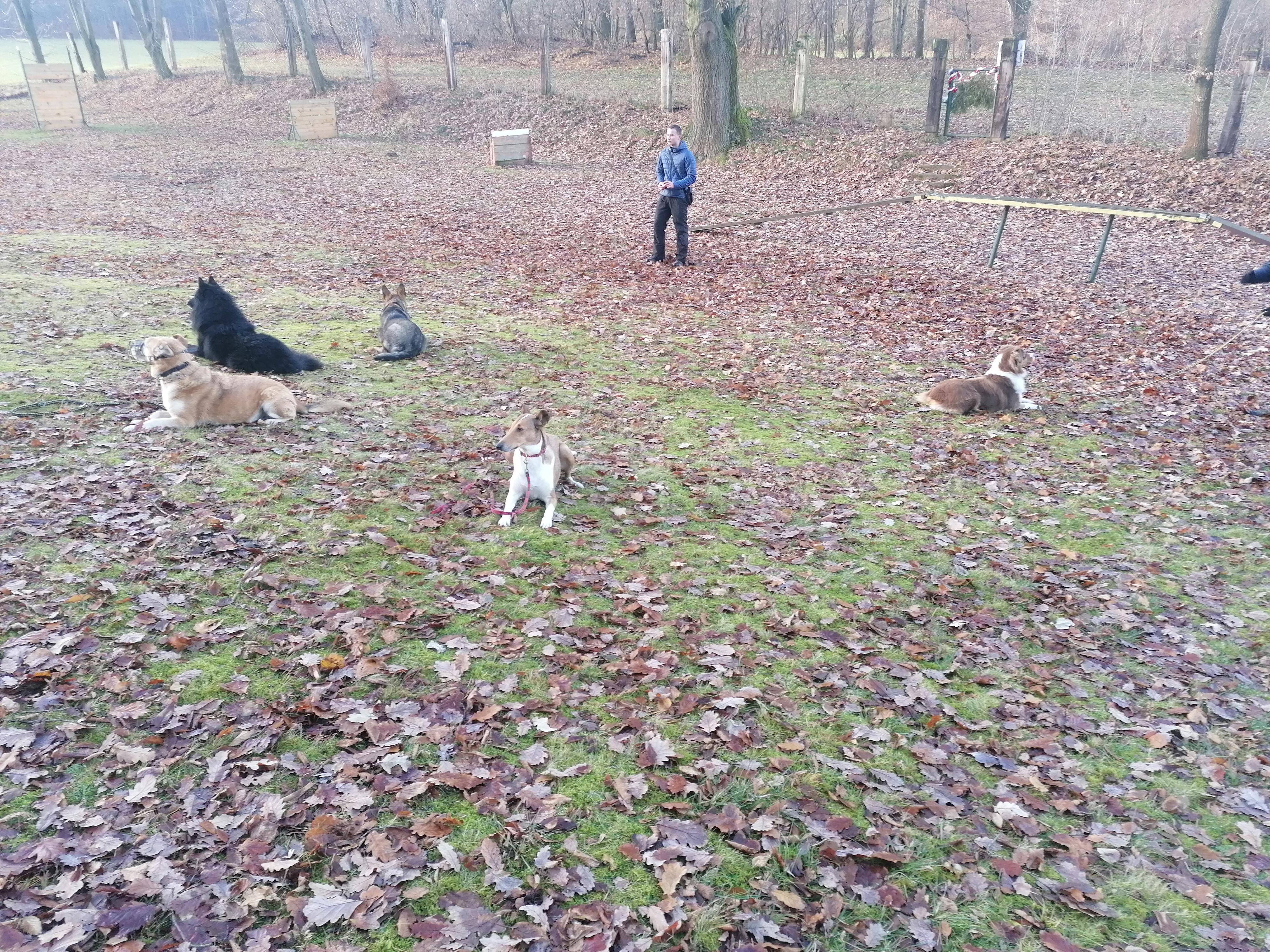 Kynologický cvičák Smolkov foto 6