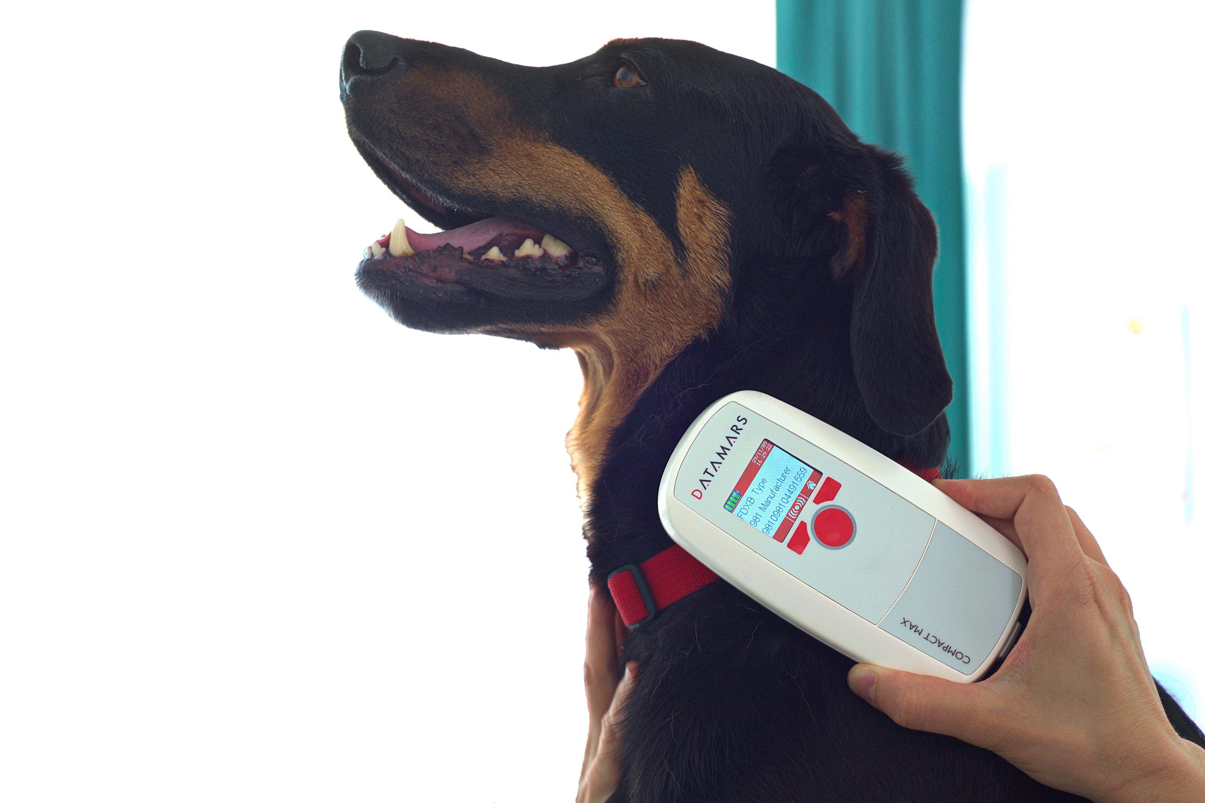 Národní registr majitelů zvířat