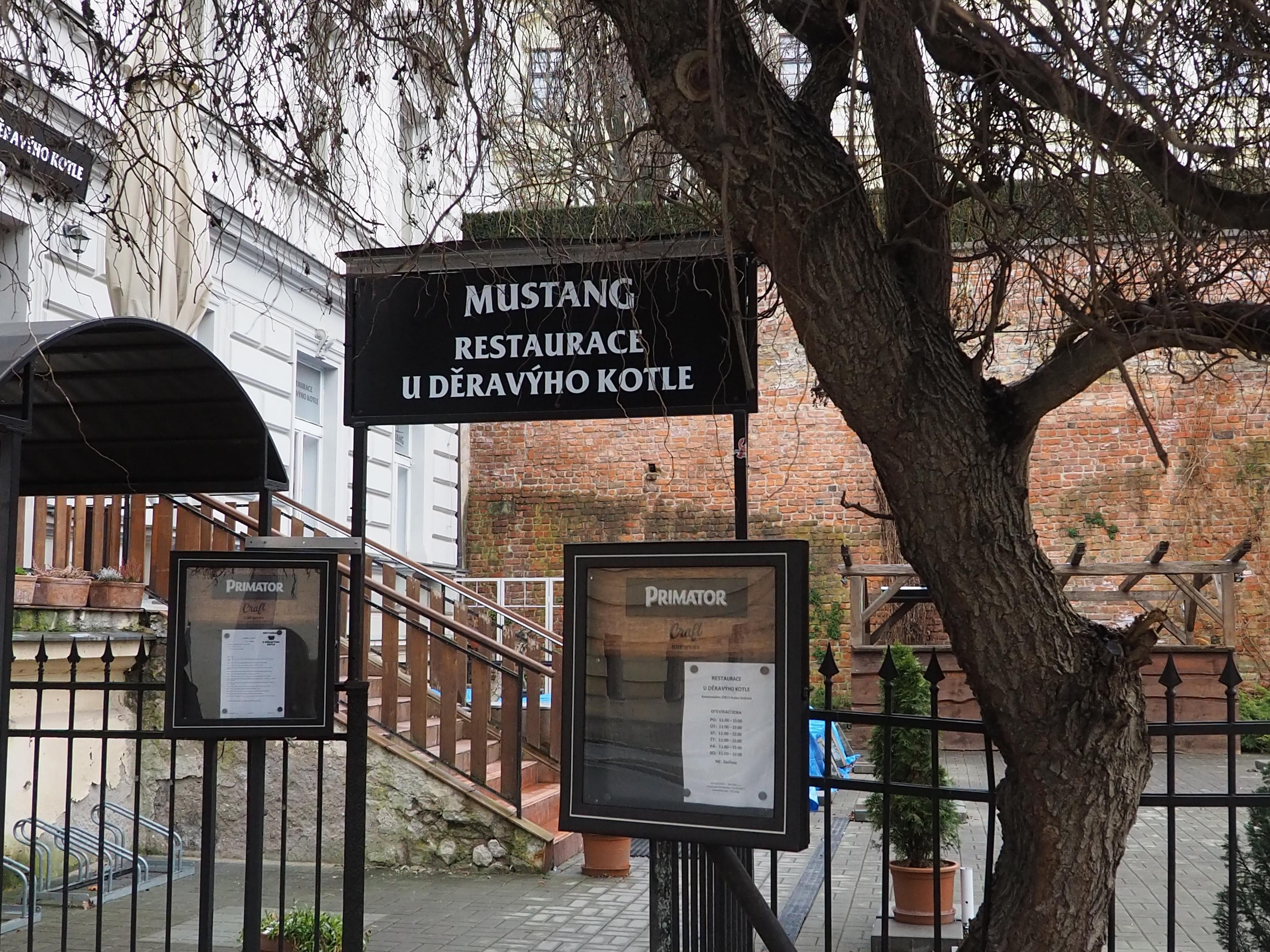 Restaurace U Děravýho kotle foto 4