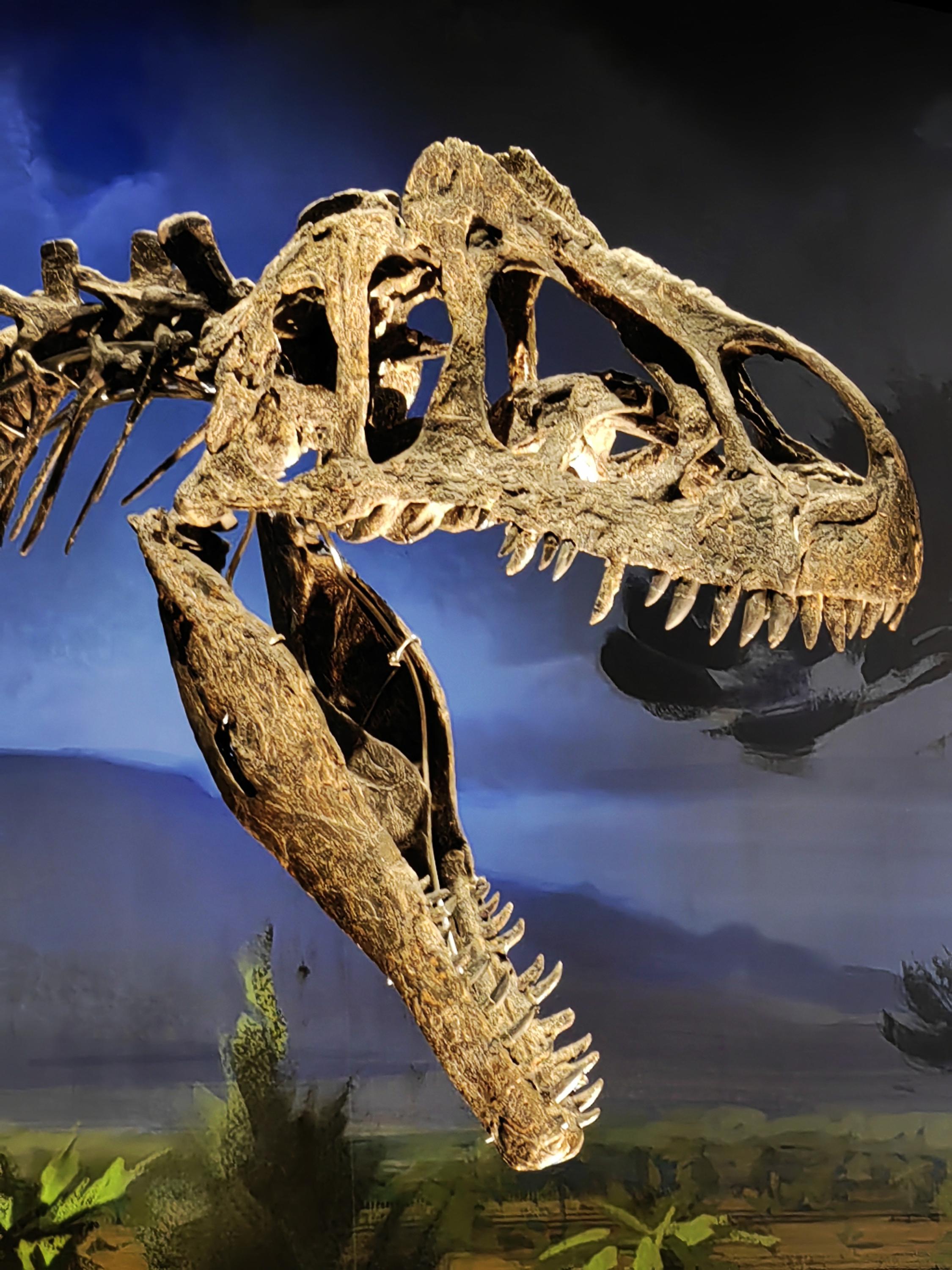 Dinosauria Museum Prague foto 3