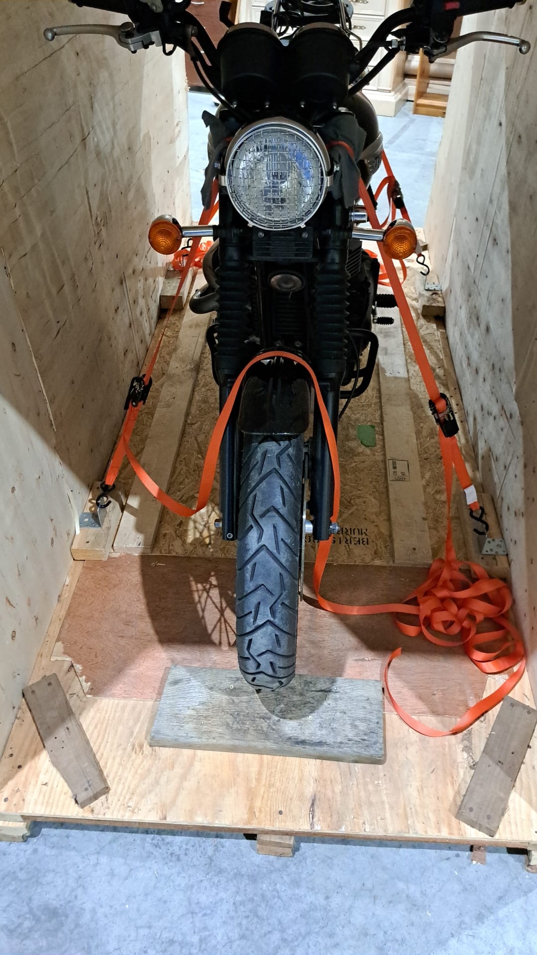 Bee Moving Prague foto 4