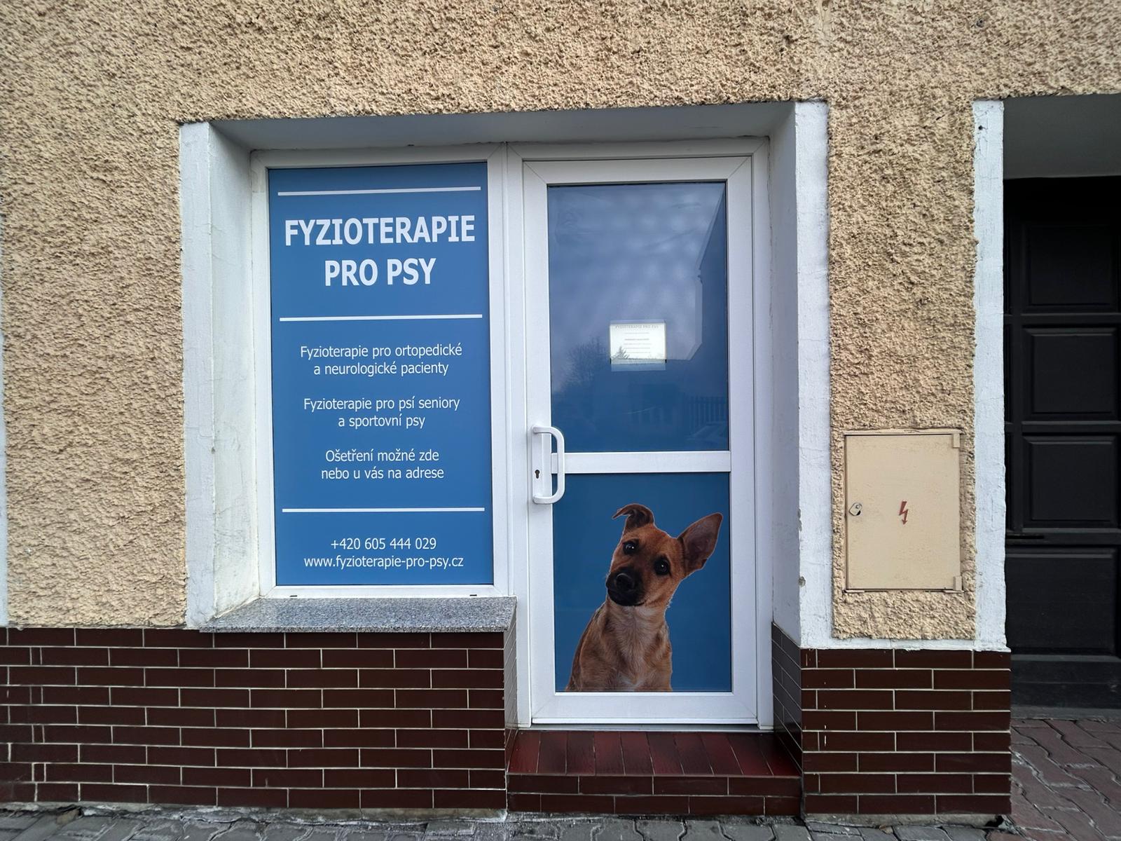 Fyzioterapie pro psy - Nicole Škopíková