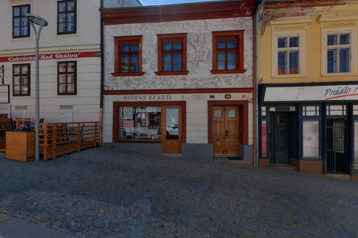 La mimosa flowers foto 5