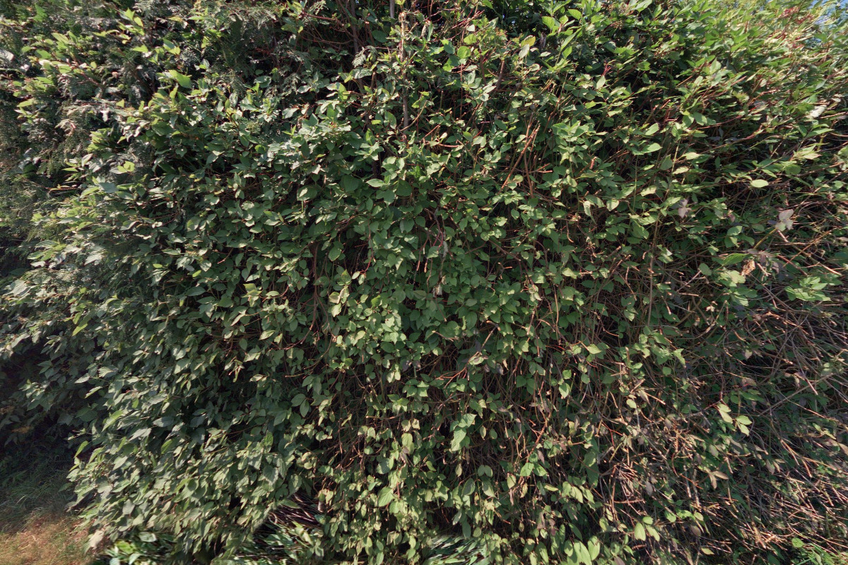 Restaurace Master Horse