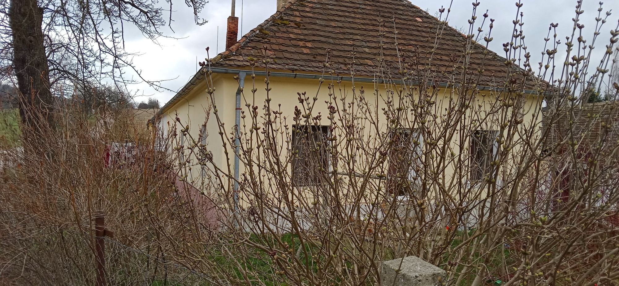 Stavební a bytové družstvo Vlastní domov Stožice, družstvo foto 5