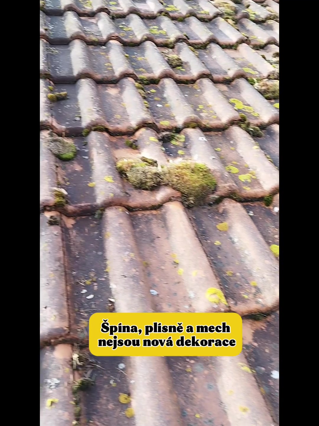 Práce SOS foto 2 (náhled videa)