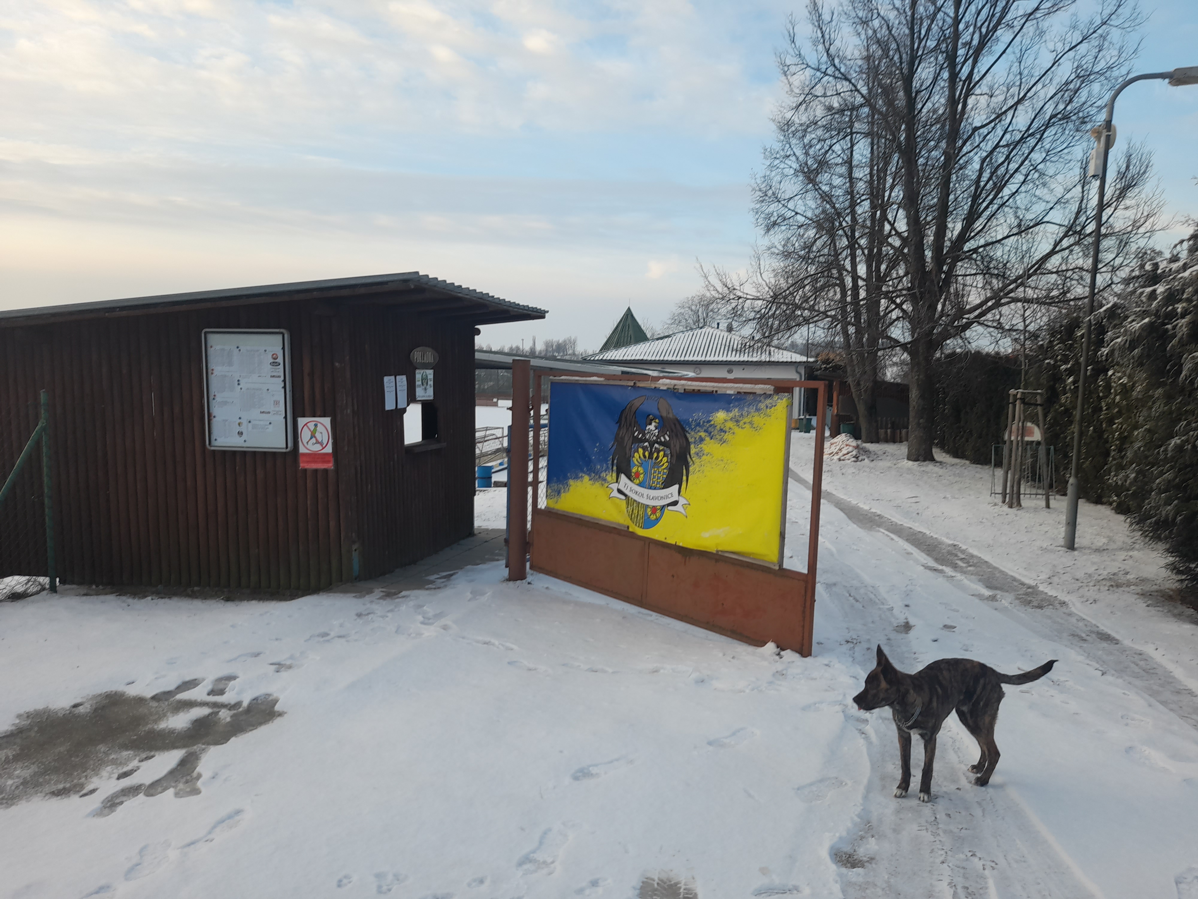 Tělovýchovná jednota Sokol Slavonice foto 6