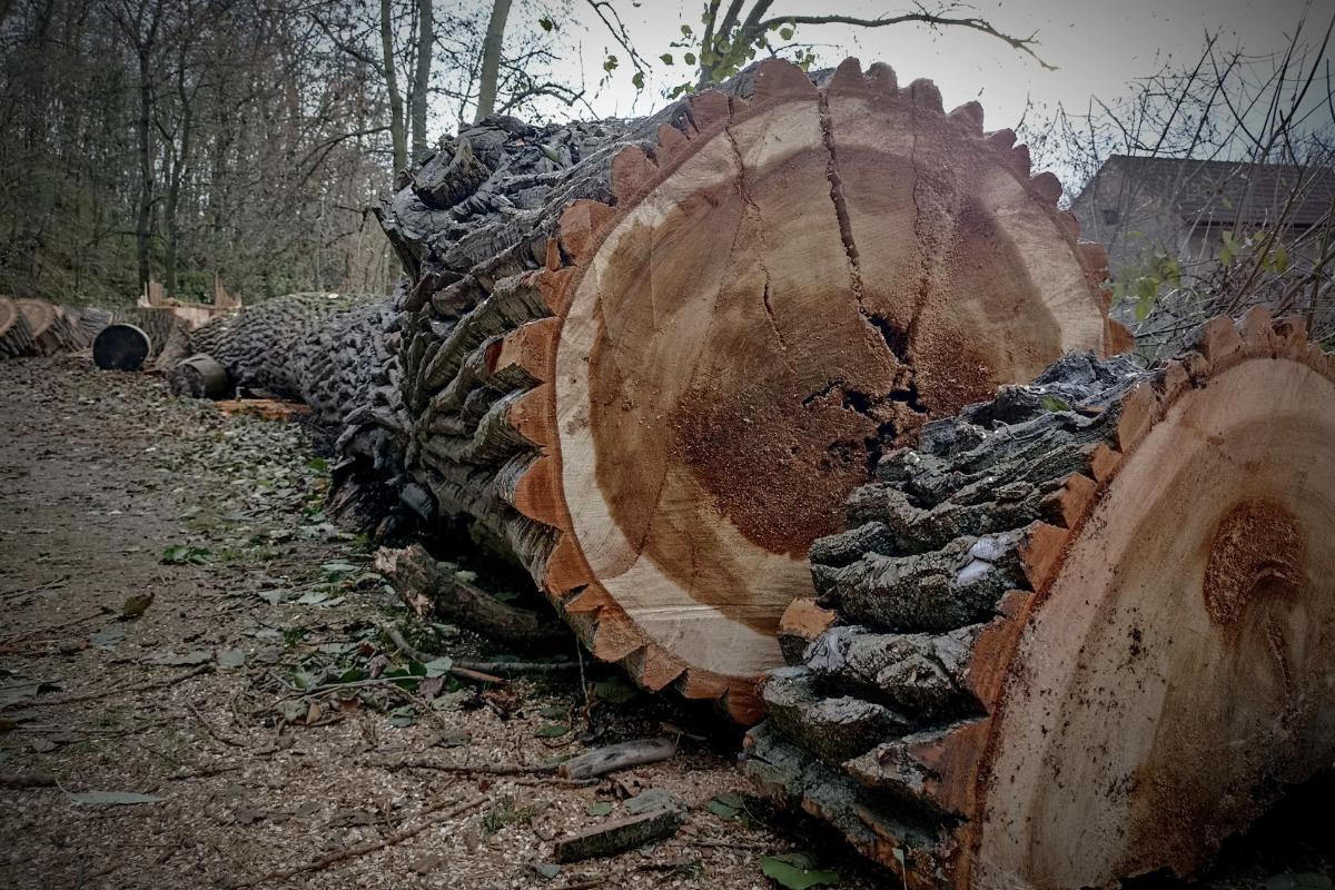 Palivové dřevo Sovolusky