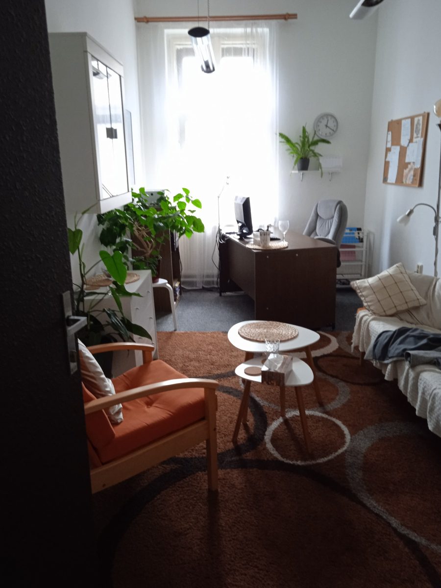 Poradna pro rodinu Pardubického kraje foto 3