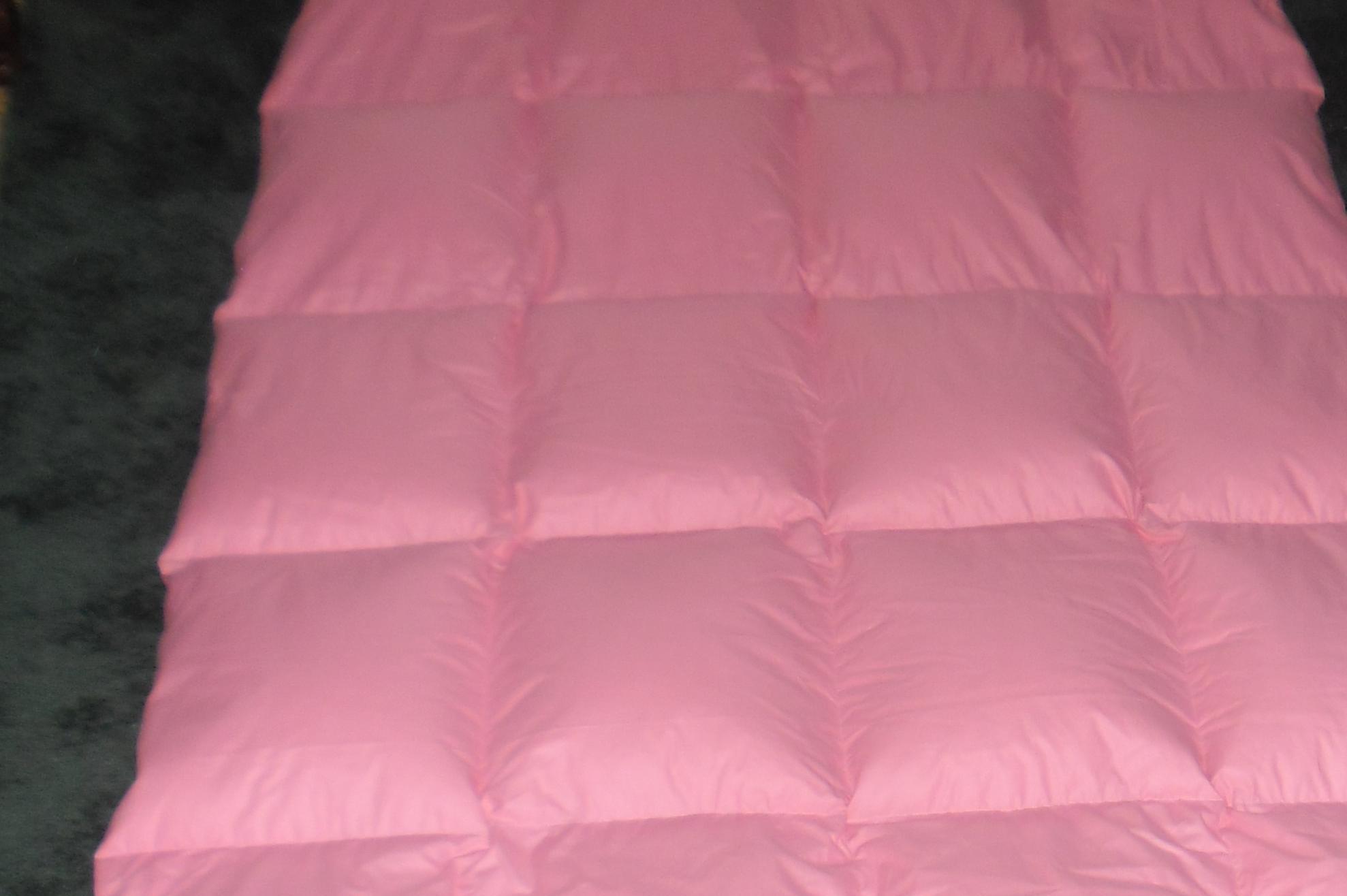 PROFI Čistírna peří Anička