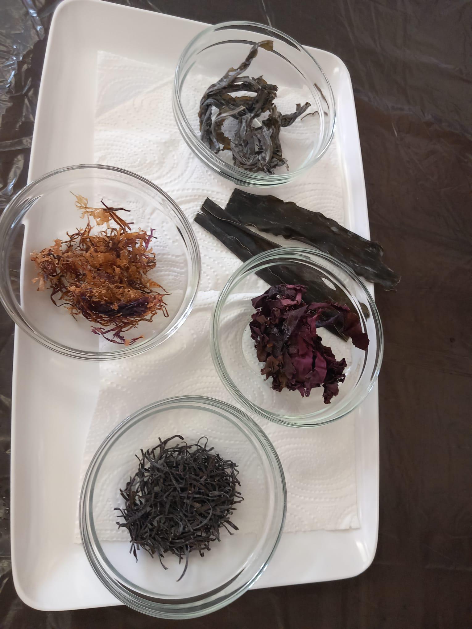 AKAI KIKU jazyková škola foto 5