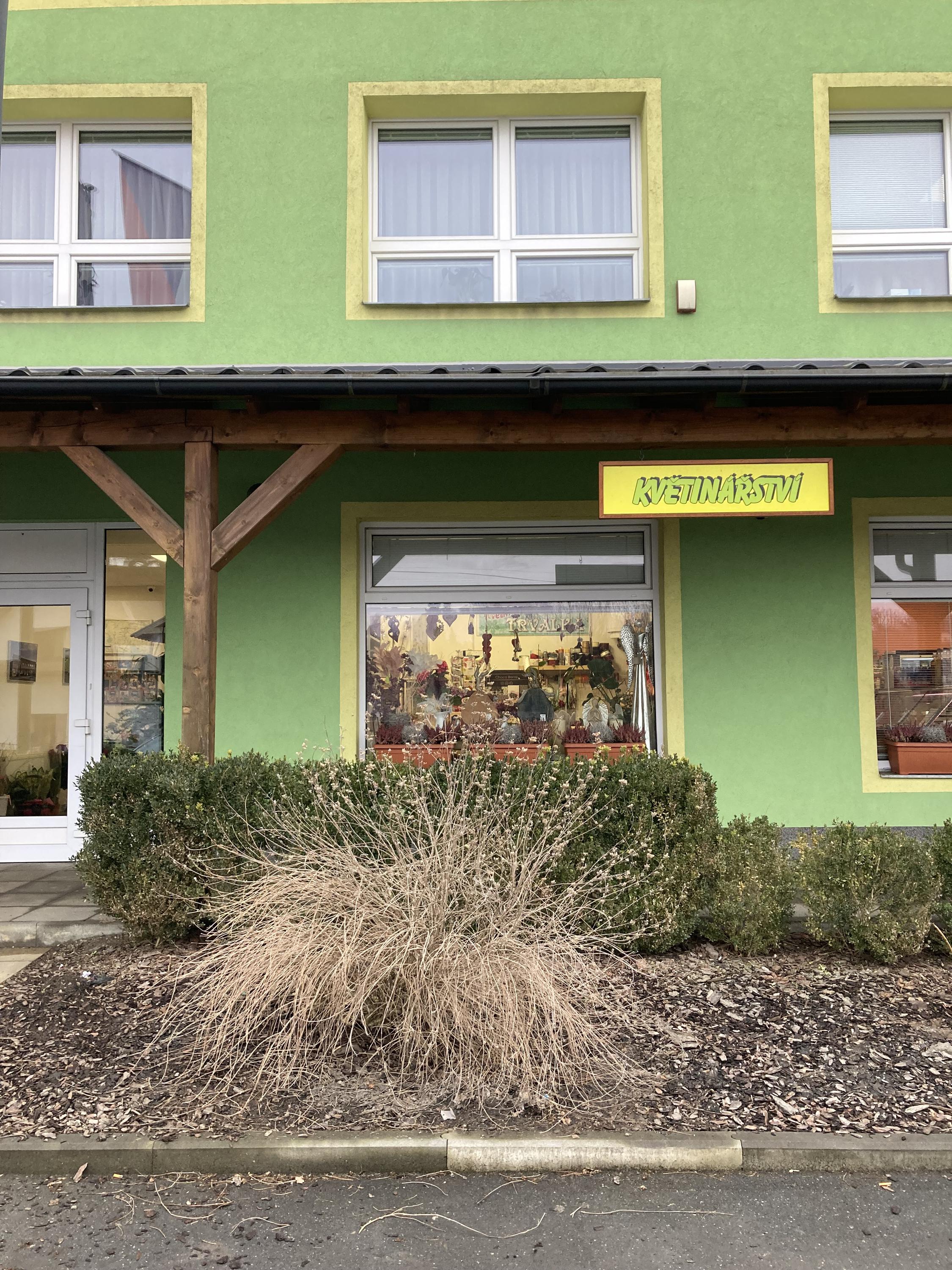 Květinářství Trvalka foto 2
