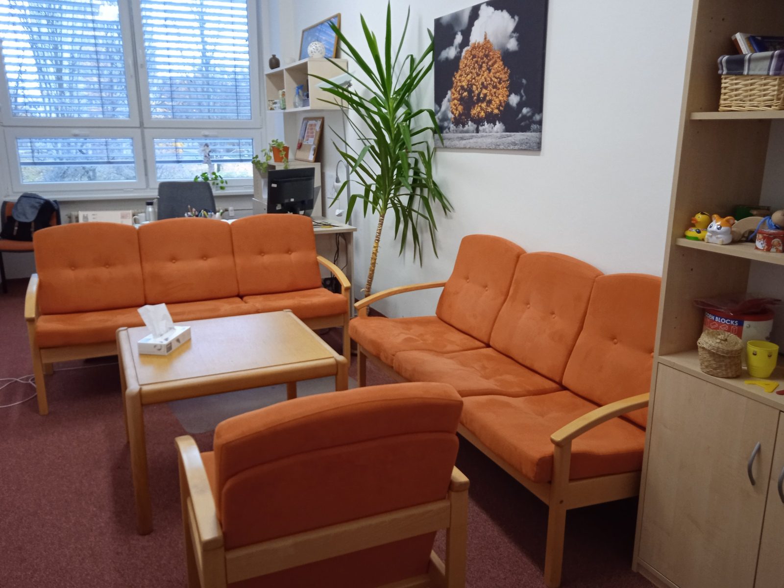 Poradna pro rodinu Pardubického kraje foto 6