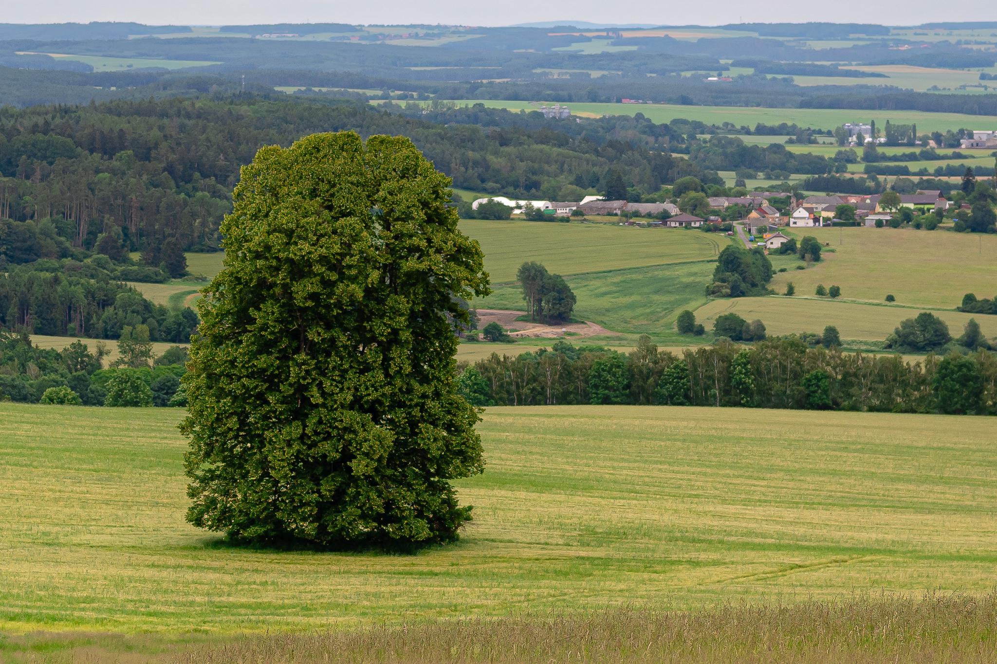 Tábor Pivoň foto 4