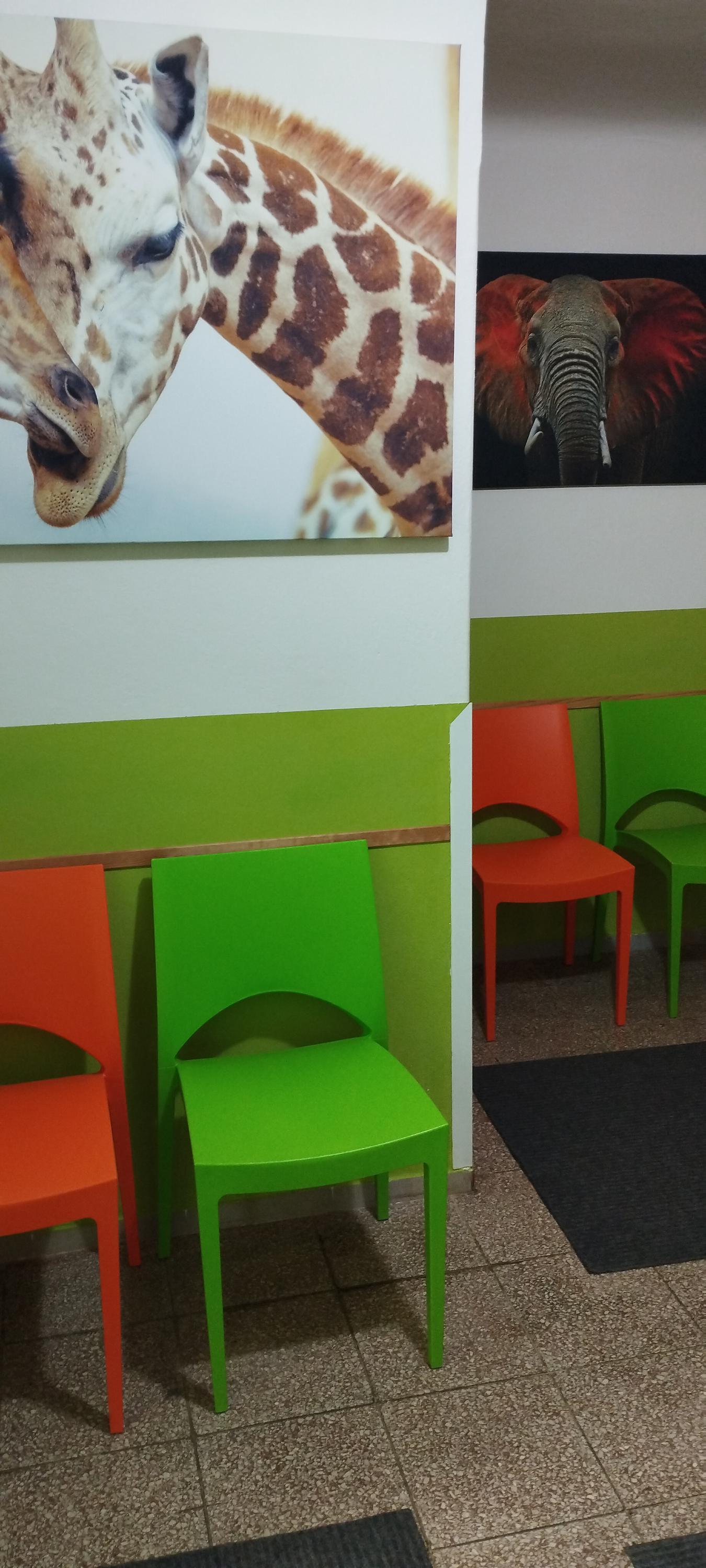 MVDr. Tereza Lázničková (Sophová), TerVet.cz foto 6