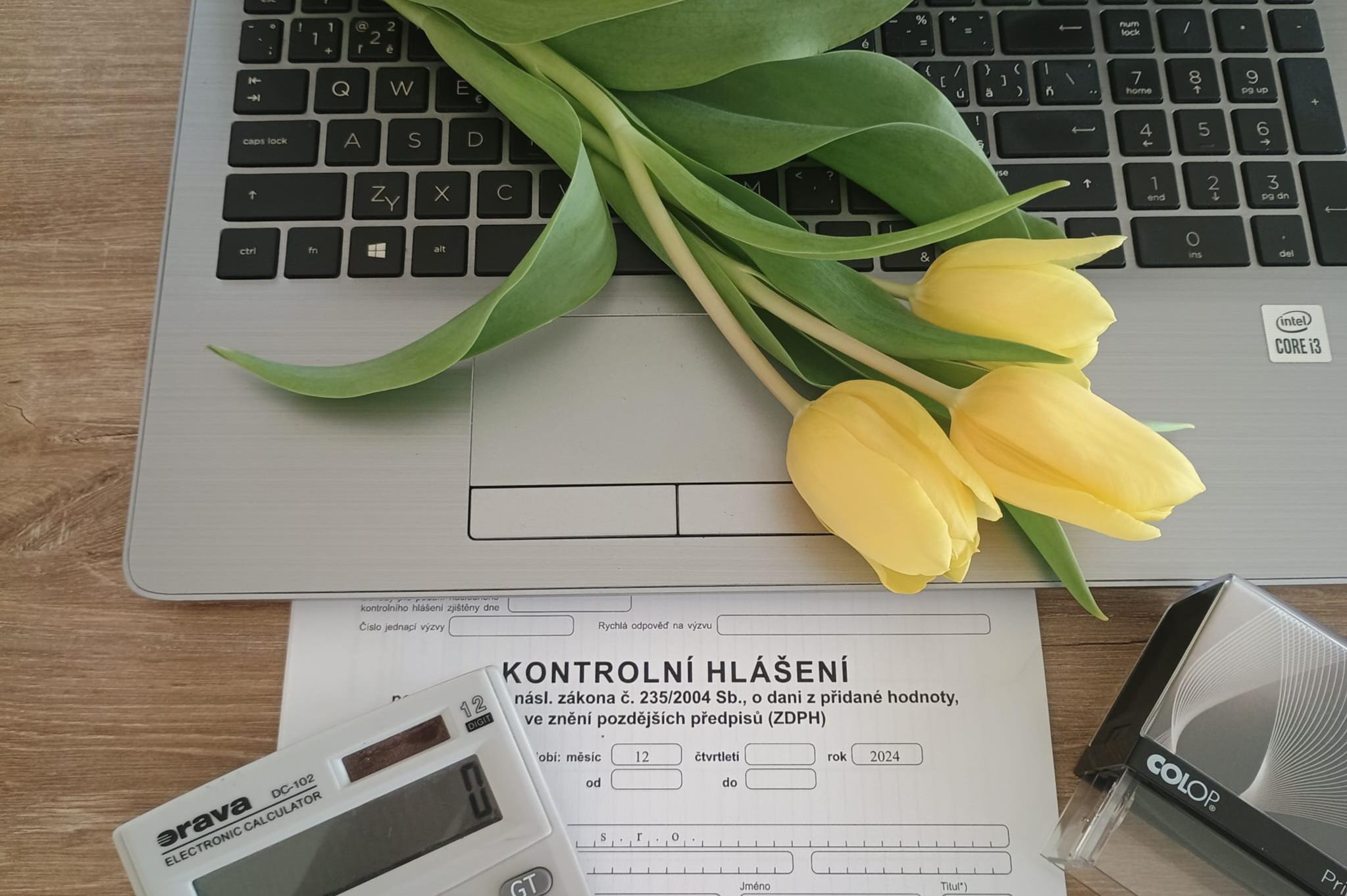 Michaela Šašková - účetní služby