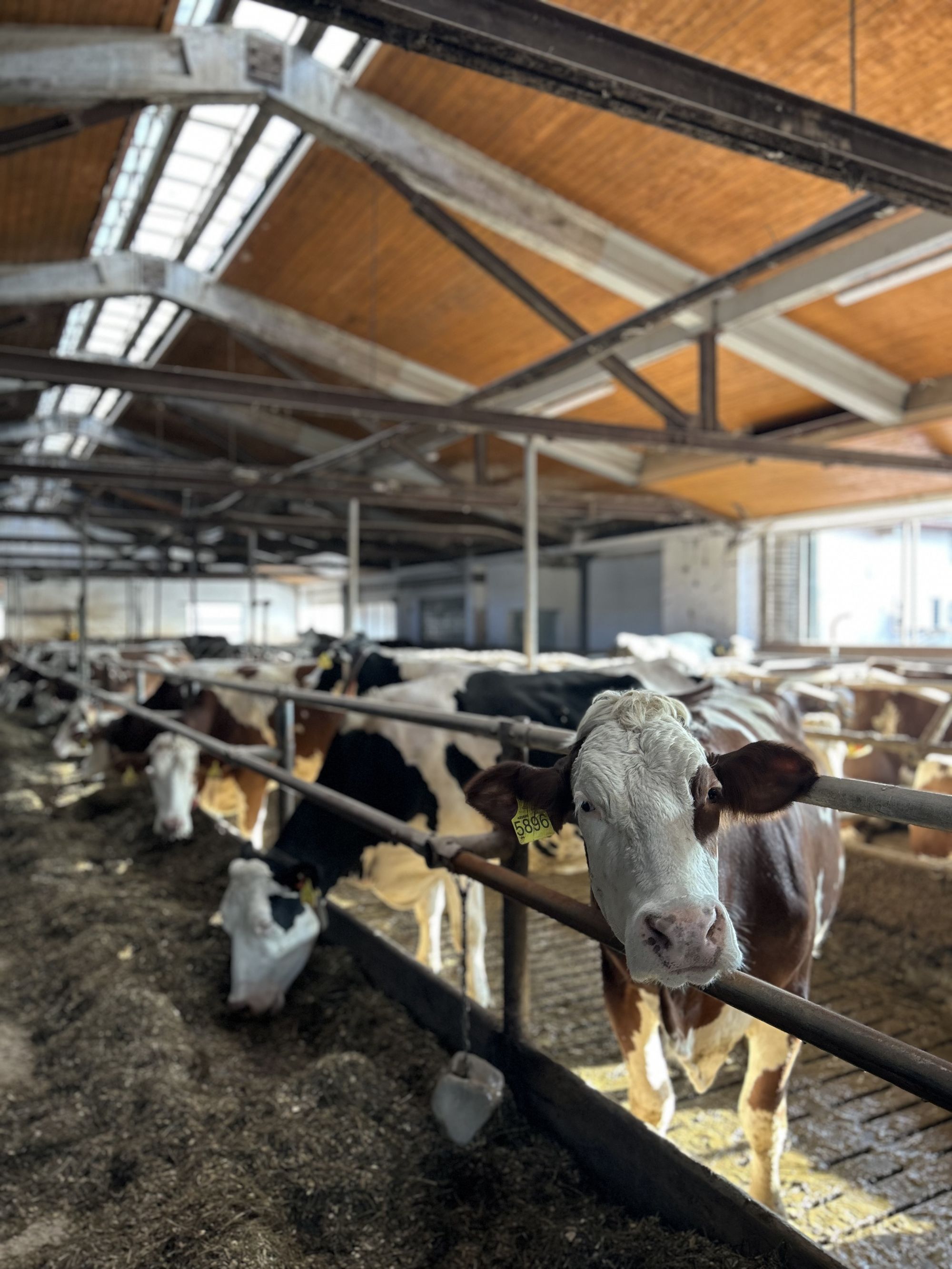 Farma Skutil foto 4