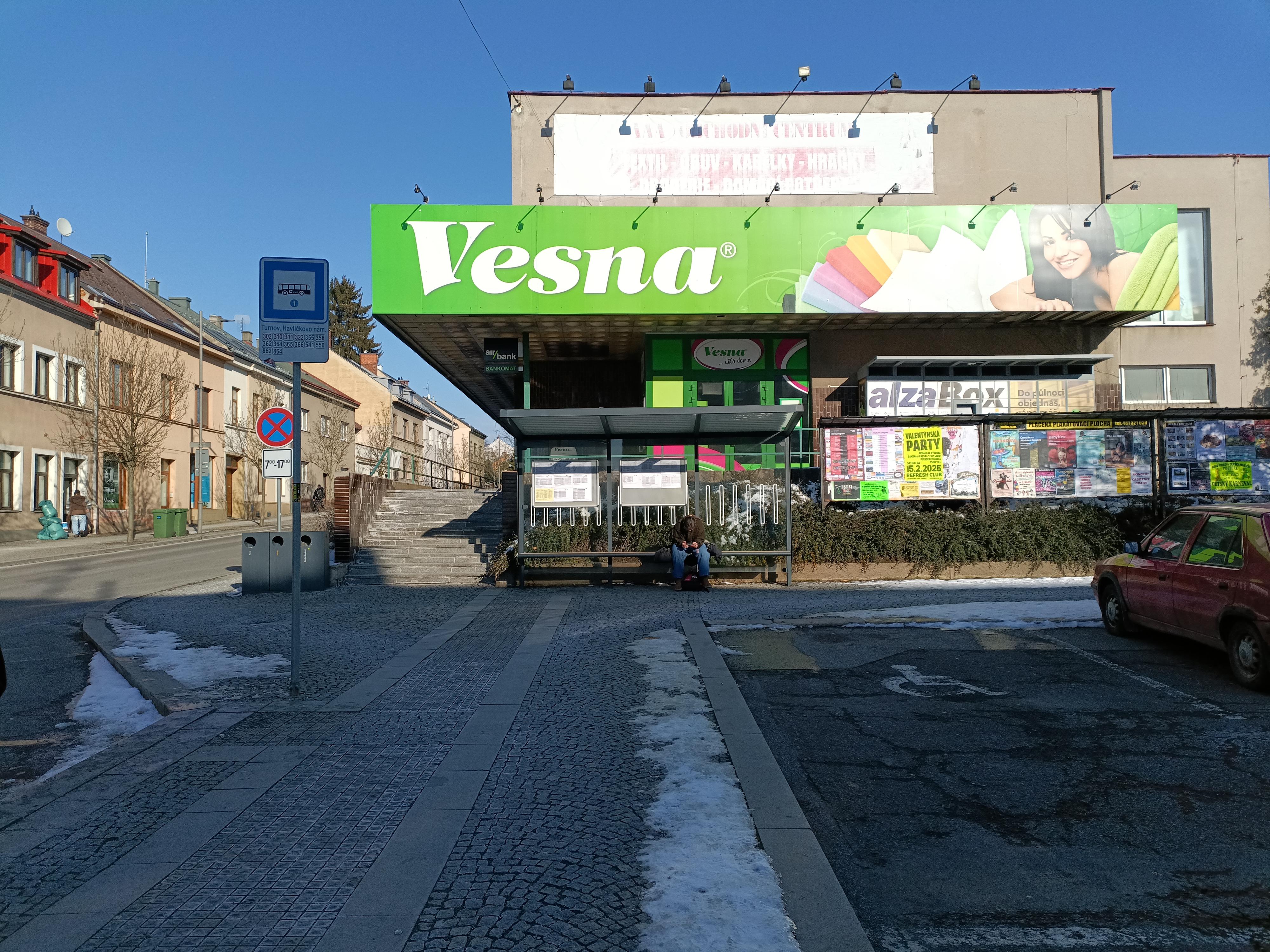 VESNA foto 2