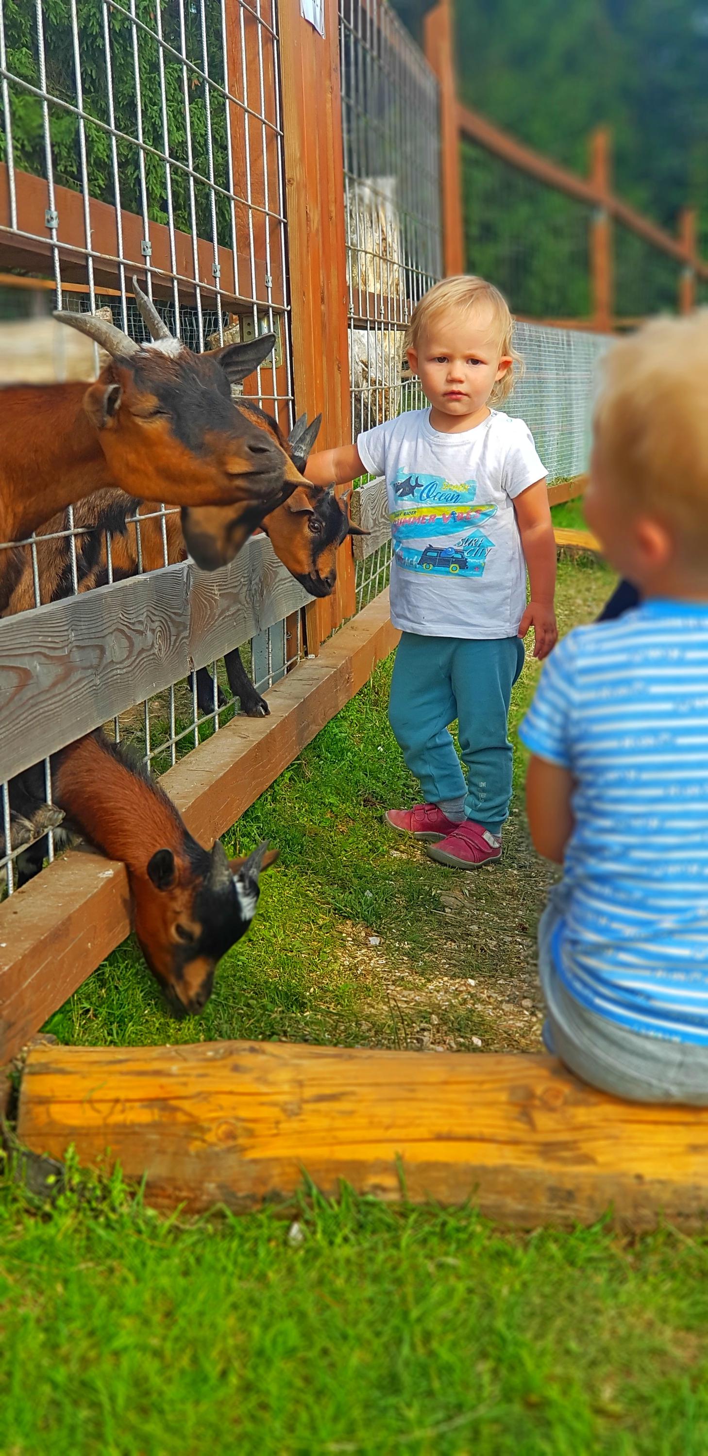 Restaurace Kolínská bouda foto 3