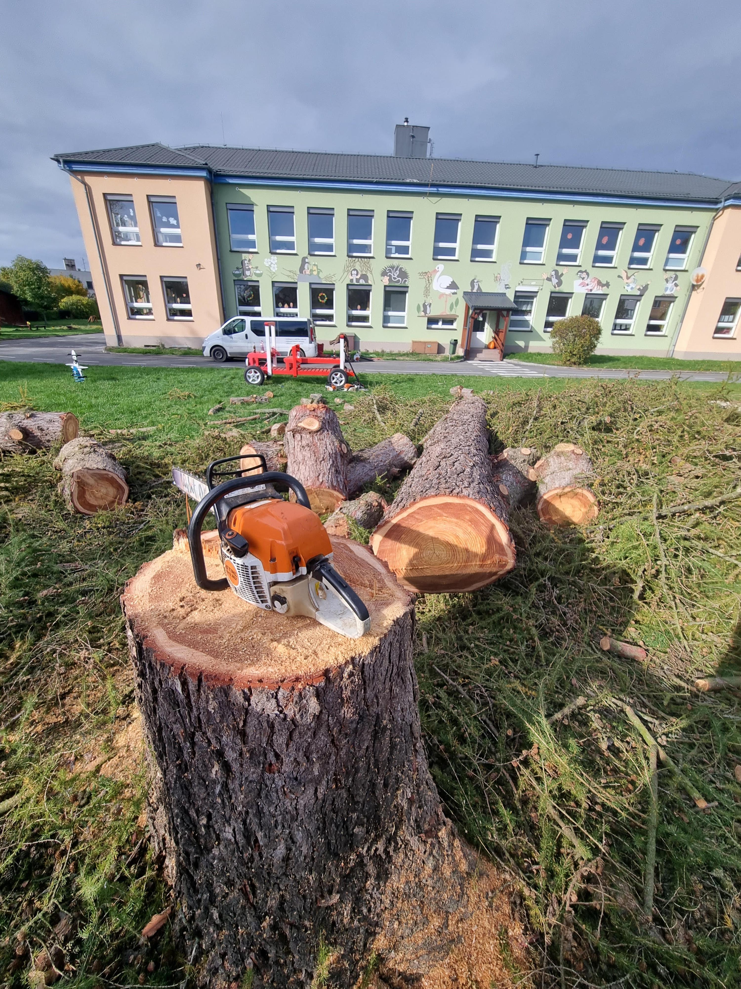 Směrové kácení stromů