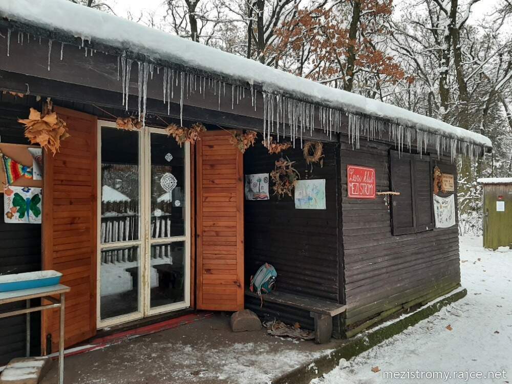 spolek zapsaný MEZI STROMY foto 4