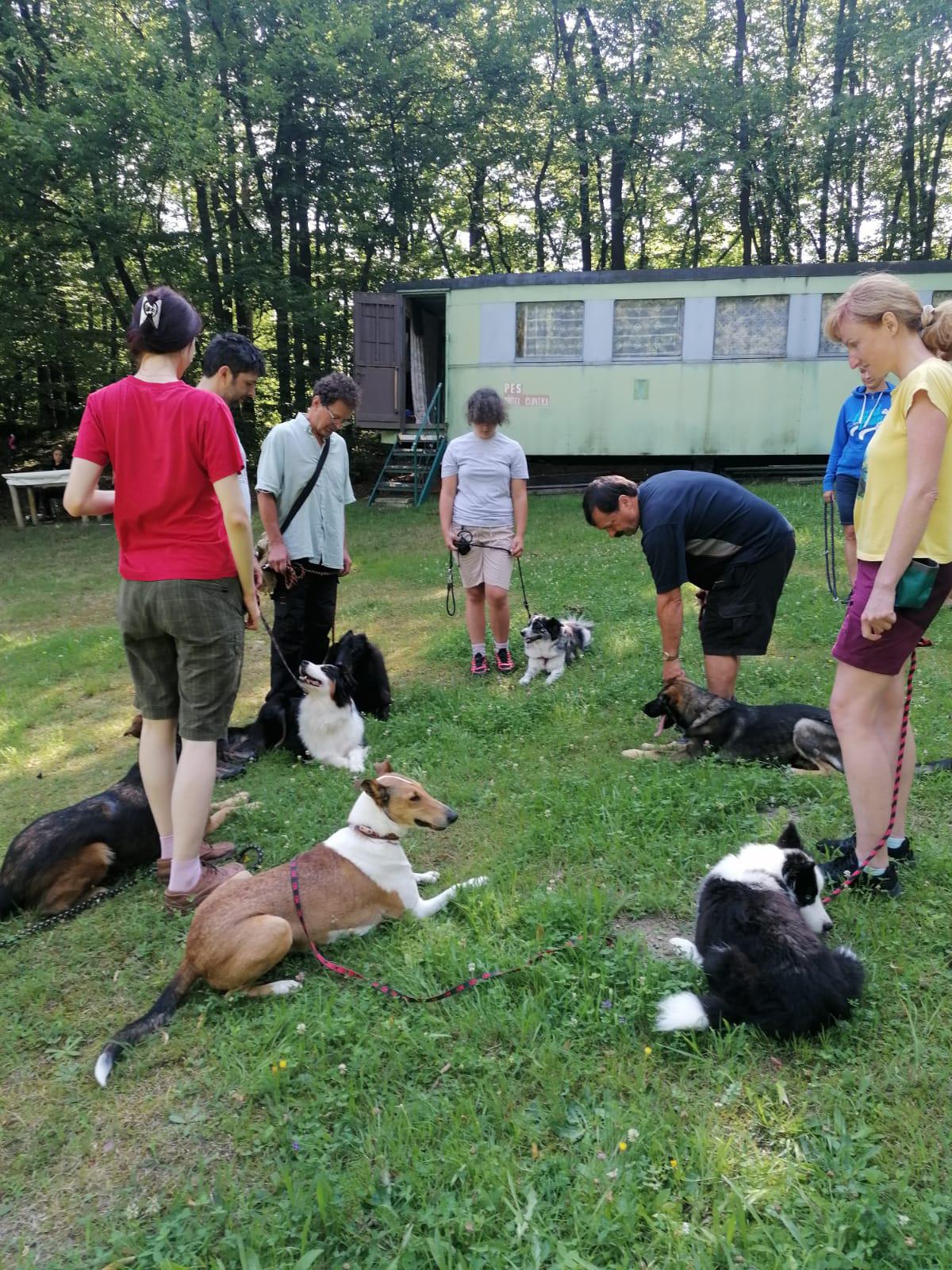 Kynologický cvičák Smolkov foto 5