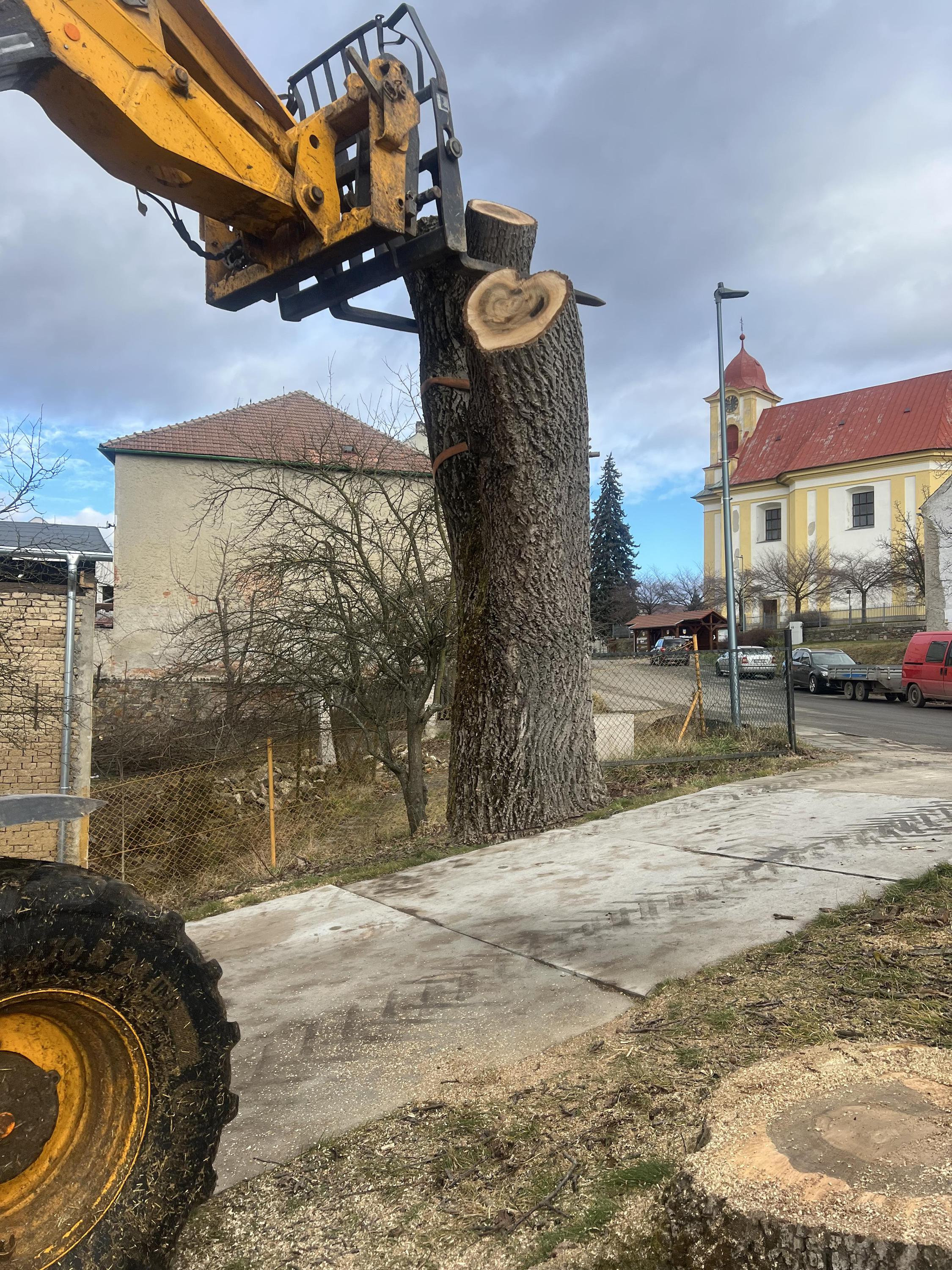 Jakub Štěpaník - Rizikové kácení stromů a stavební práce foto 3