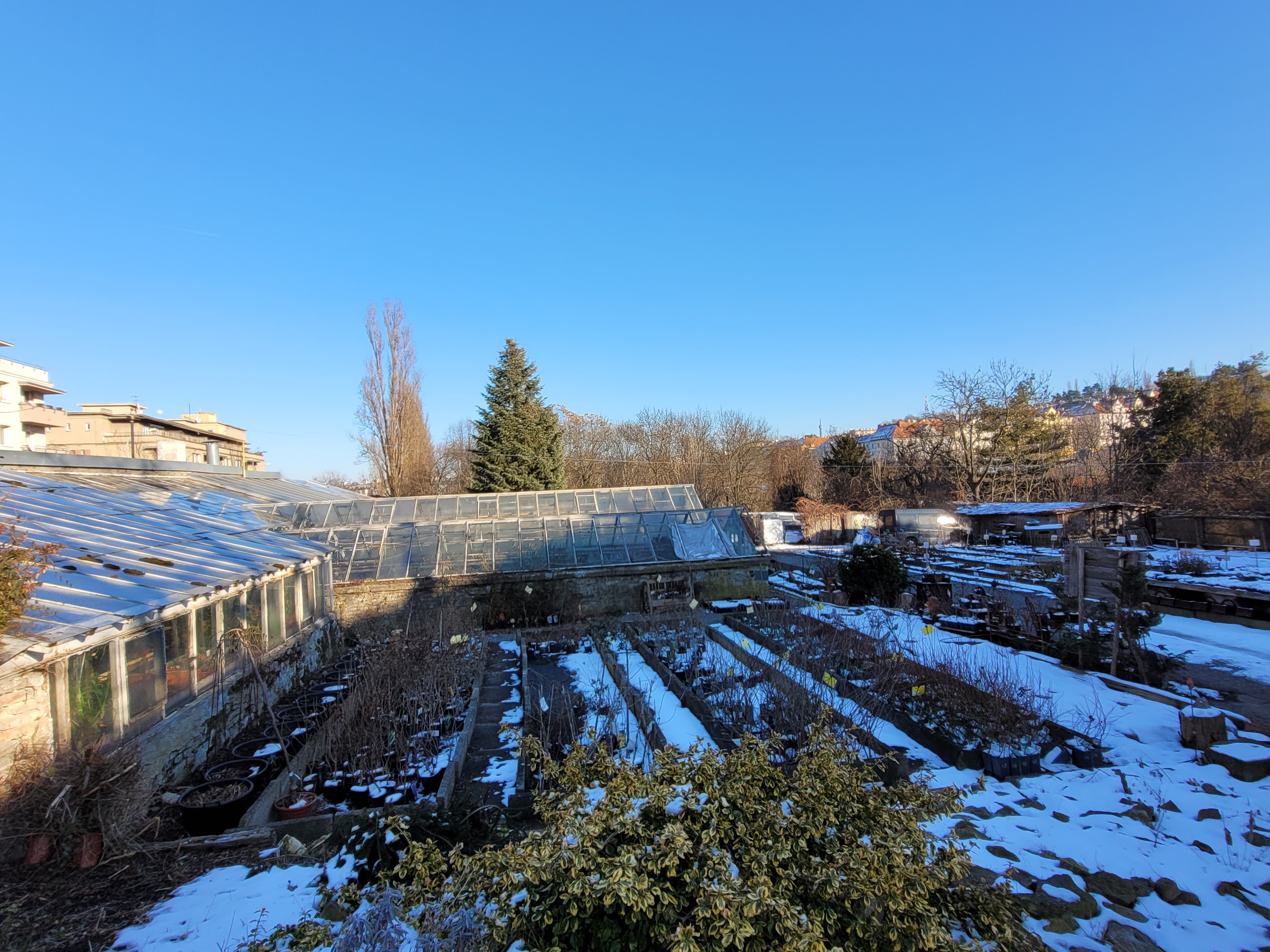 Zahradnictví Krulichovi foto 6