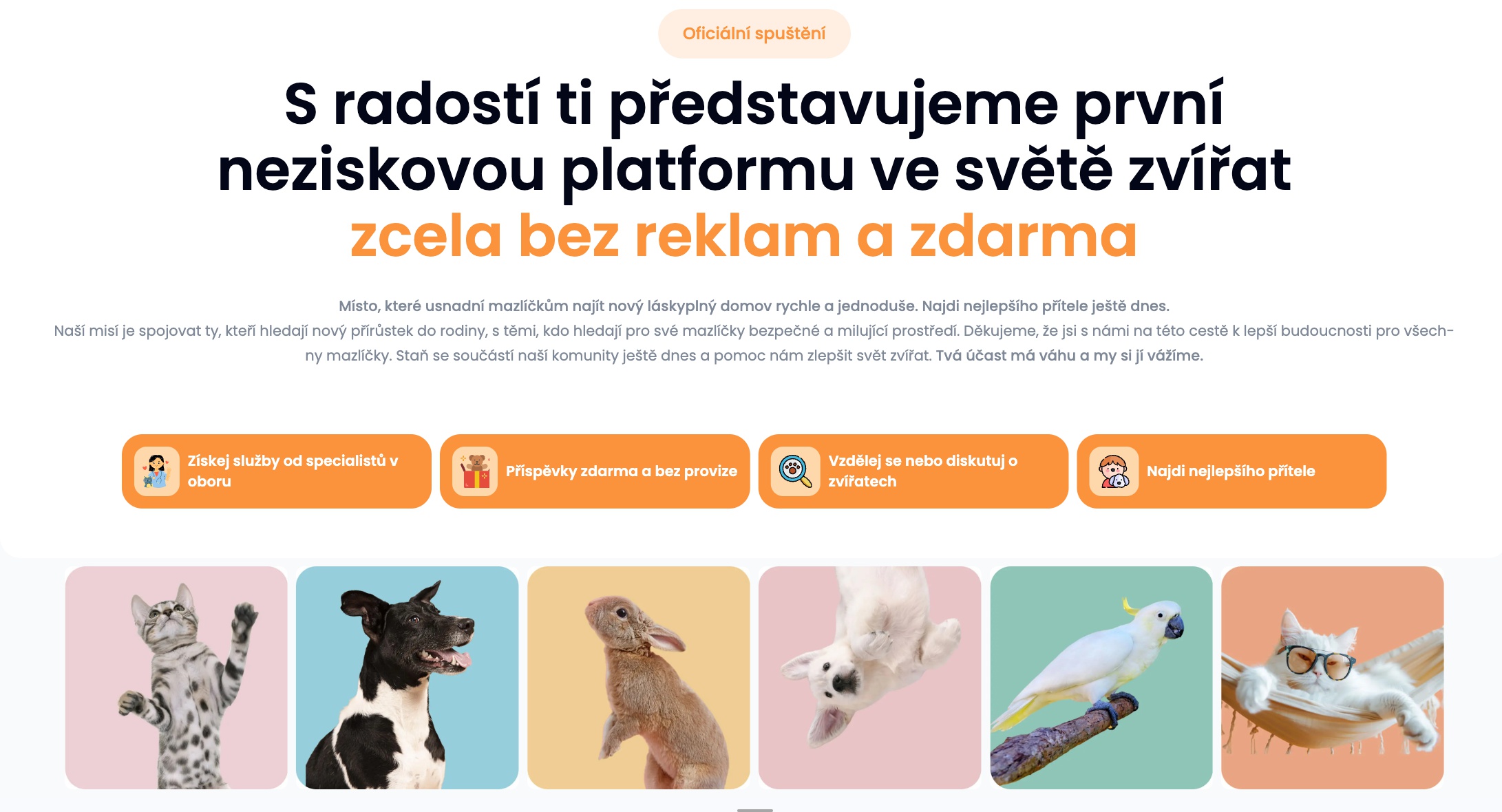 Hledaczvirat.cz | Hledačzvířat foto 4