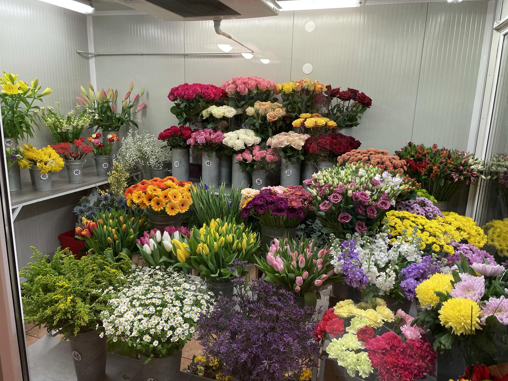 Květinový klub foto 2