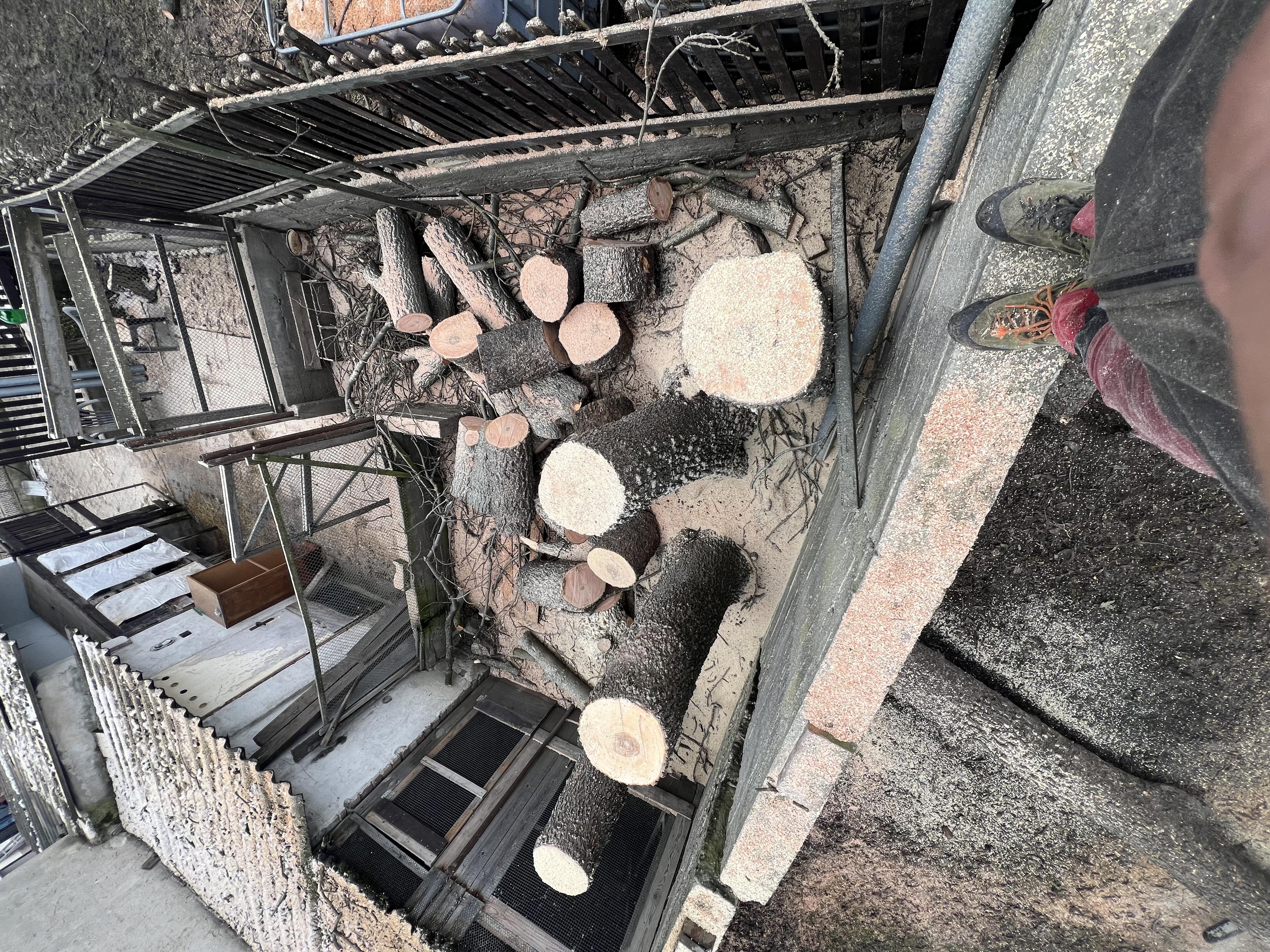 Jakub Štěpaník - Rizikové kácení stromů a stavební práce foto 4