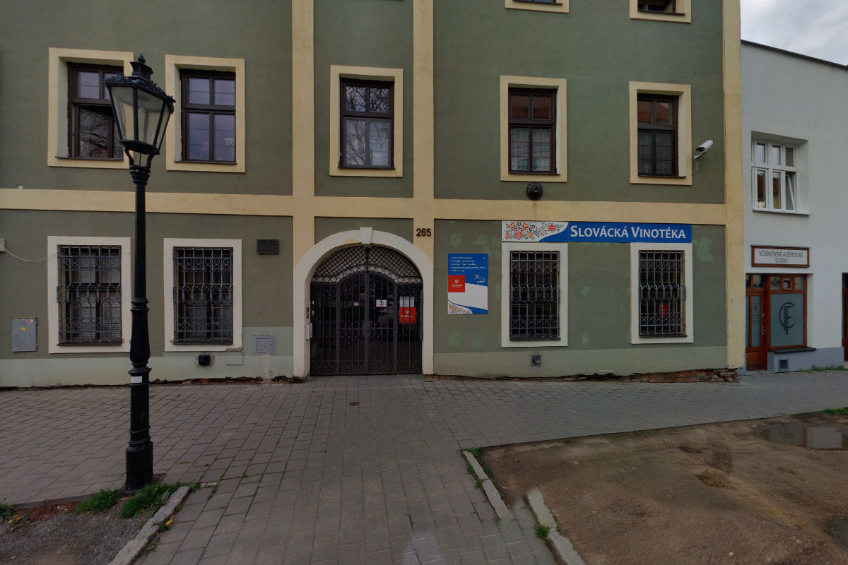 Psí studio - Zachar Novák