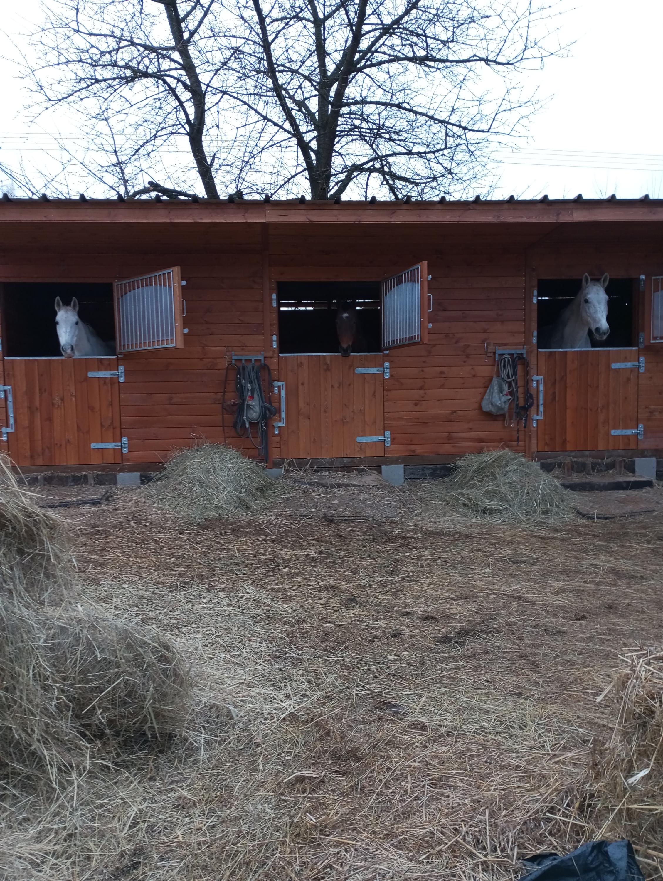 OSTROV NADĚJE o.s. foto 2