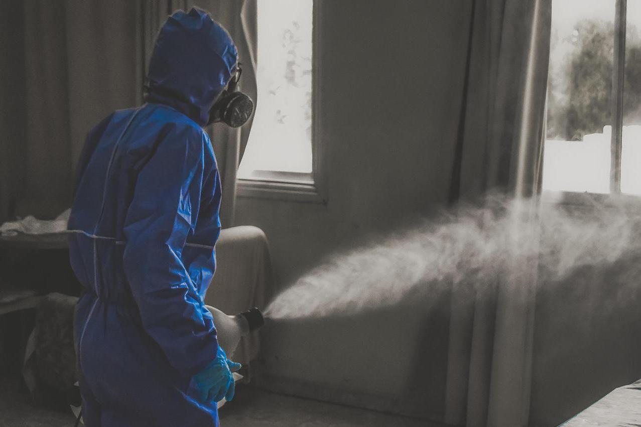 Švábek a Štěnička