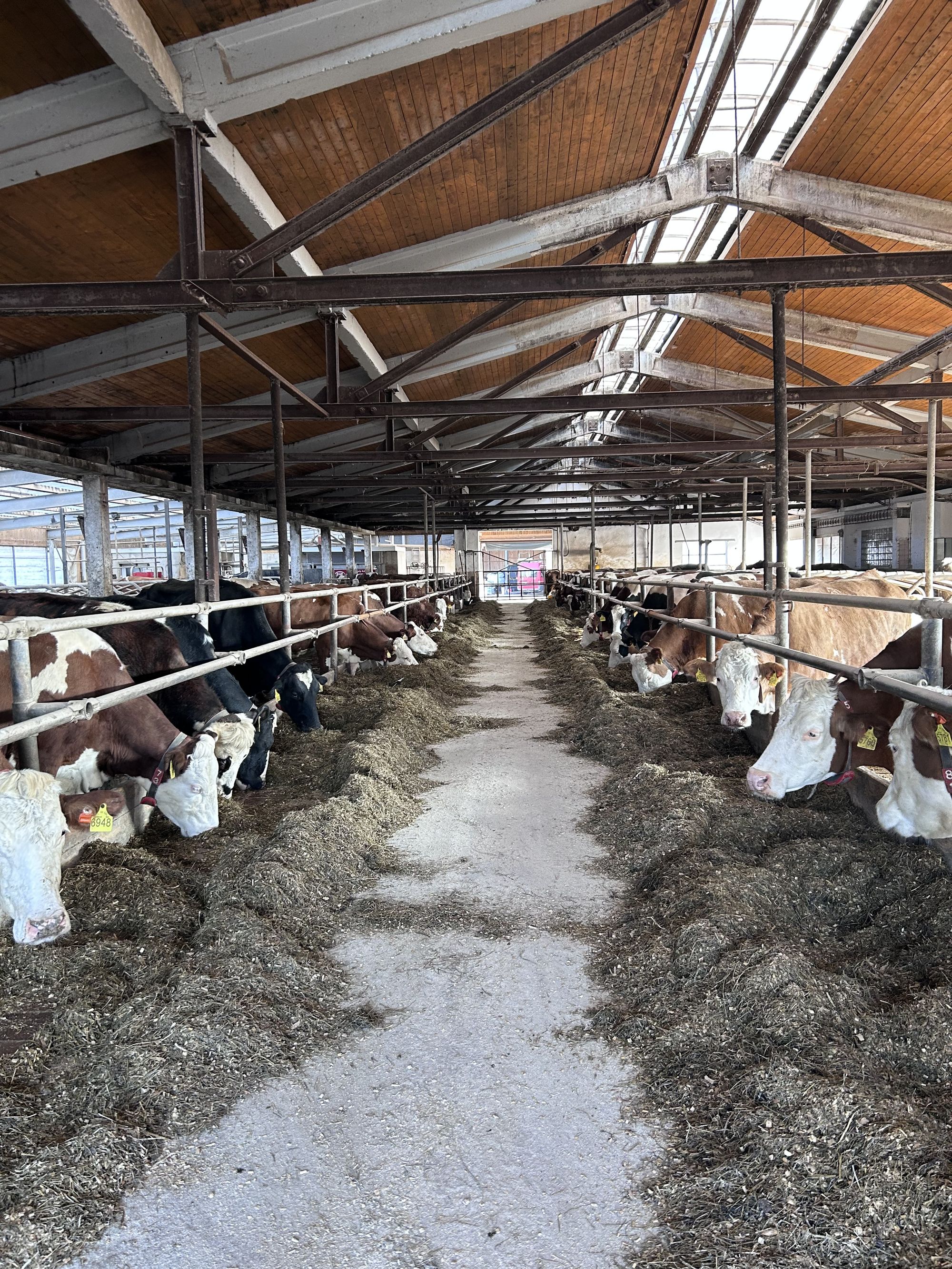Farma Skutil foto 3