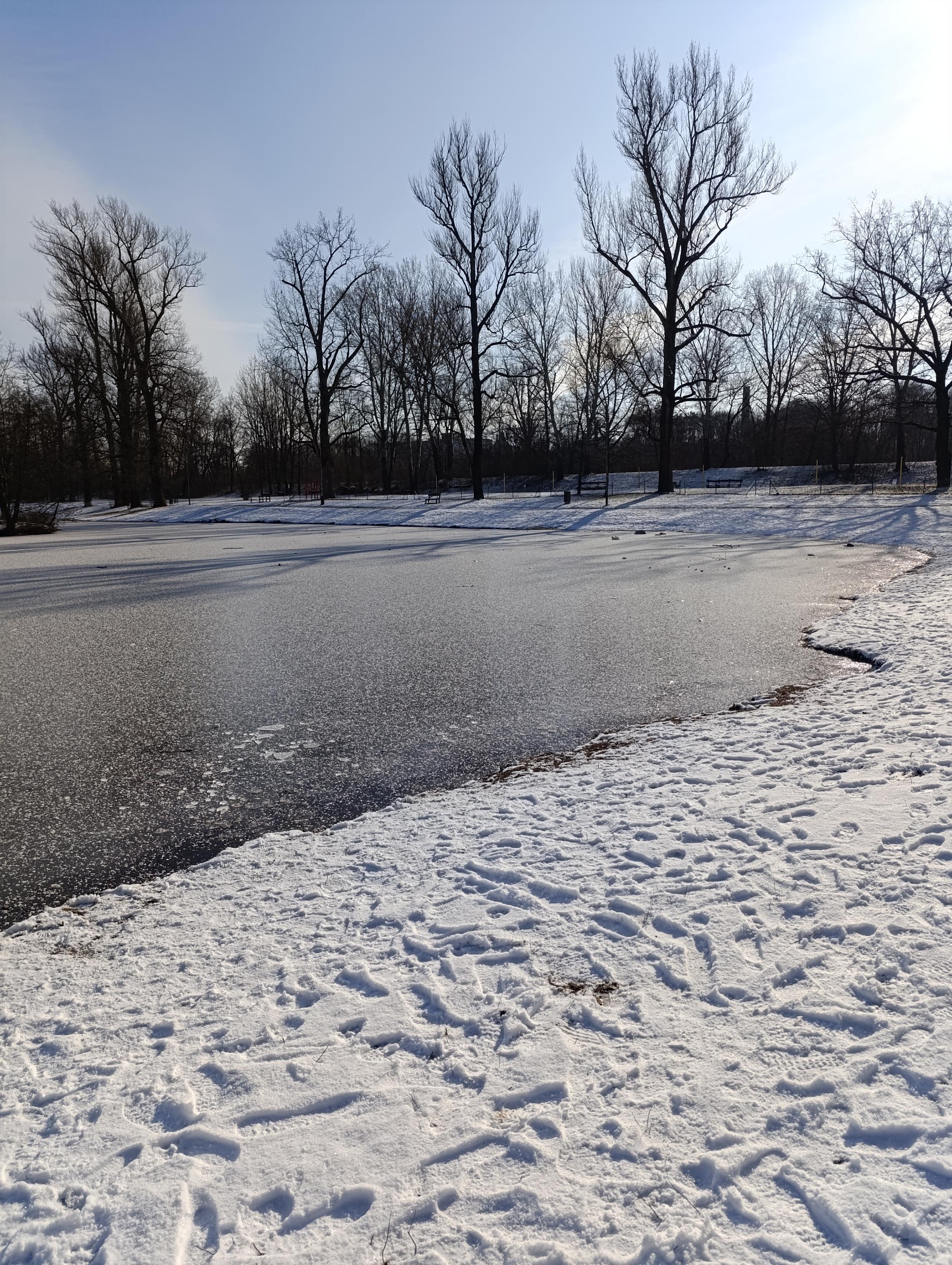 Bašta U Dokládalů foto 6