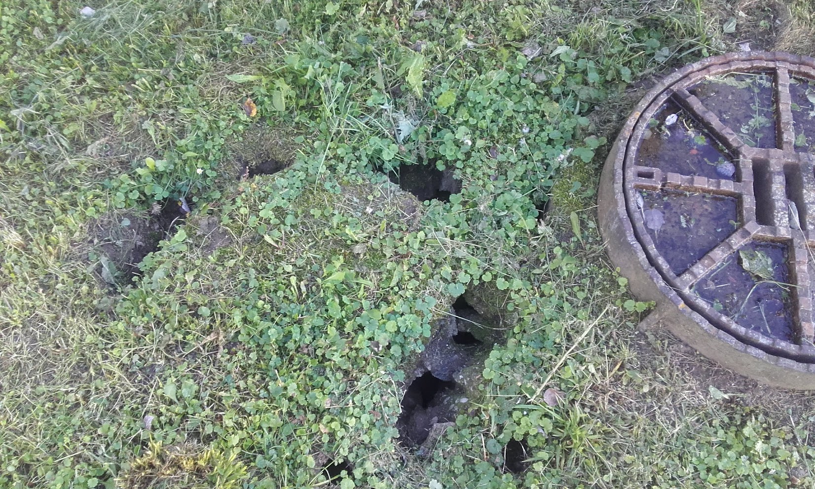 Deratizace NoPest / DDD služby Kučera foto 6