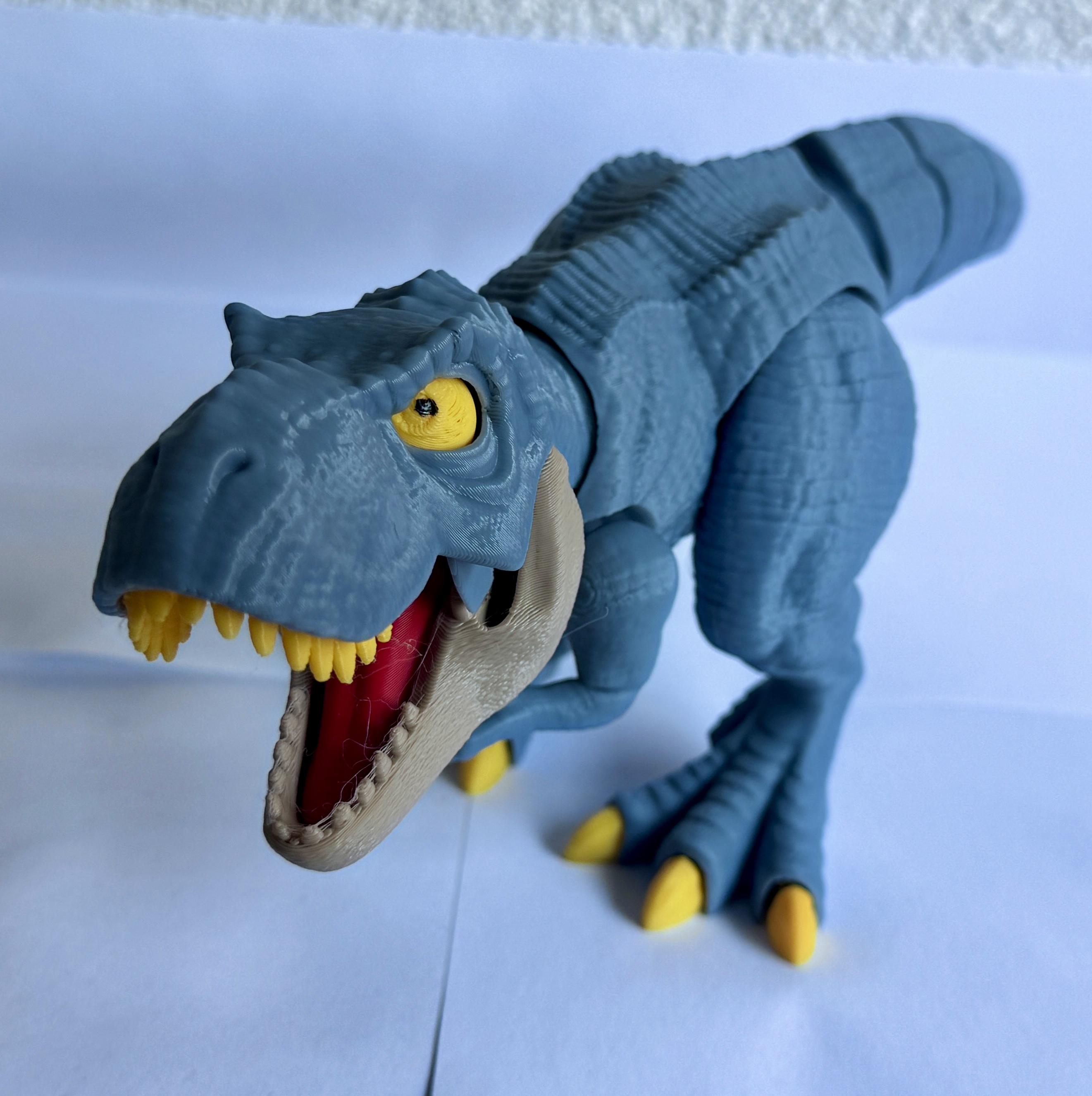 3drewri.cz foto 2