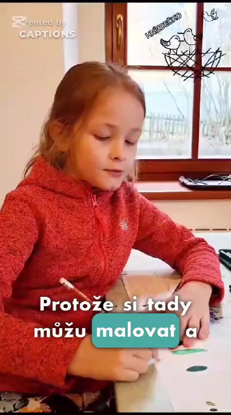 Vzdělávací centrum Hnízdečko foto 2 (náhled videa)