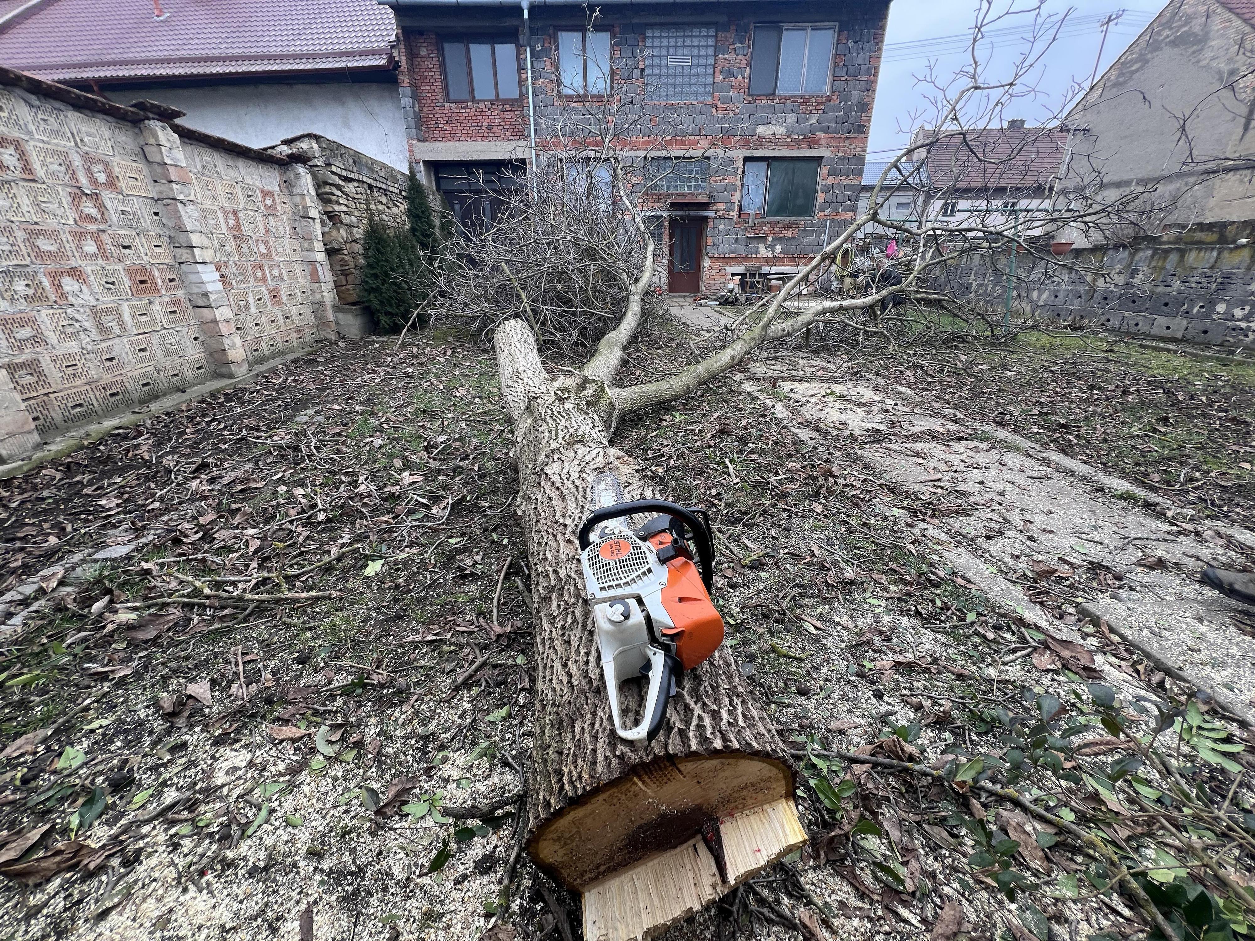 Jakub Štěpaník - Rizikové kácení stromů a stavební práce foto 4