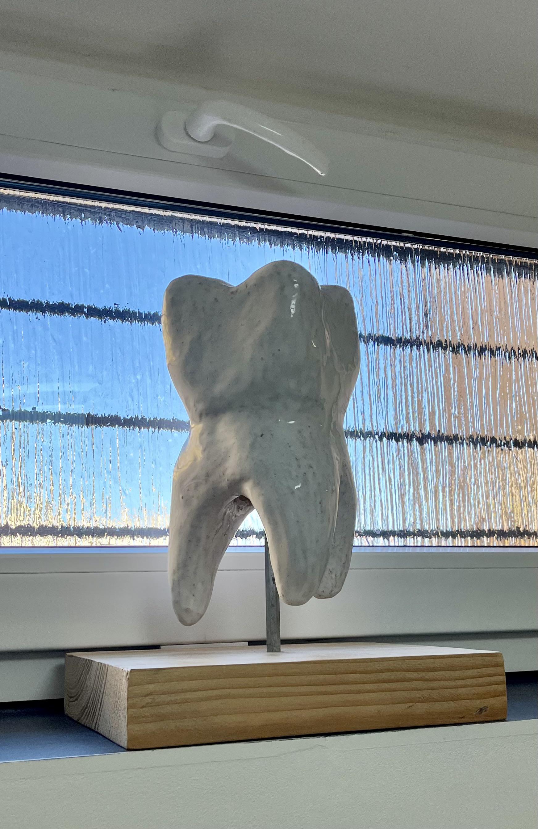 Gabriela Veselá dentální hygiena foto 5