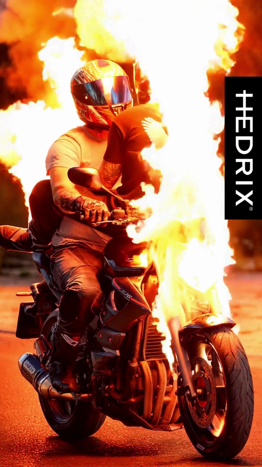 HEDRIX foto 2 (náhled videa)