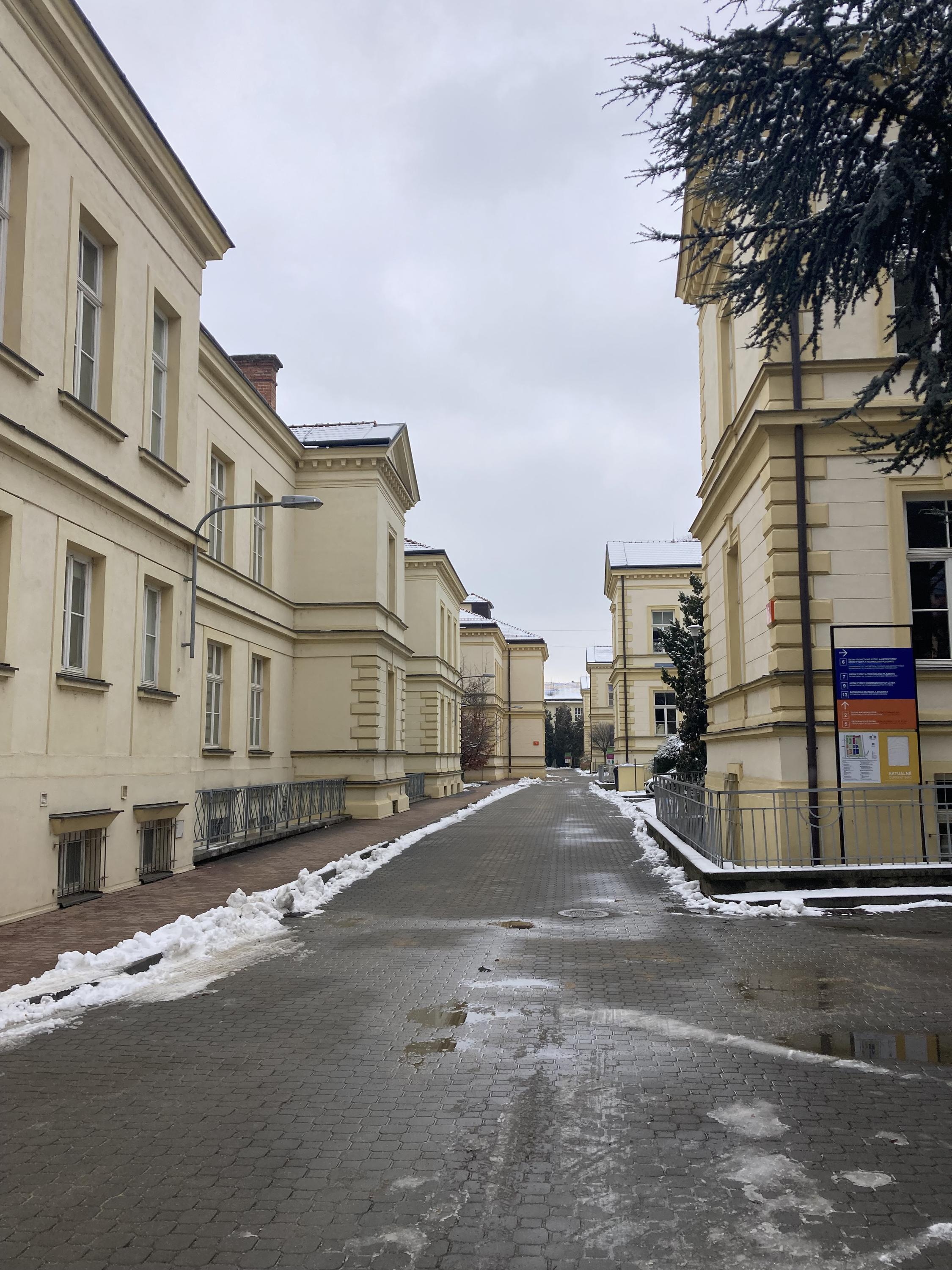 Ústav antropologie Přírodovědecké fakulty Masarykovy univerzity foto 1