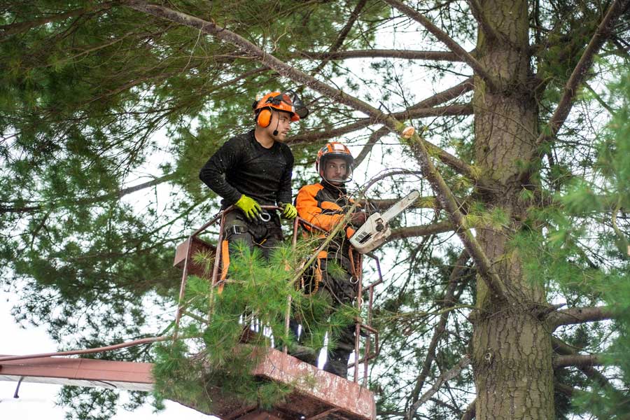 Stavební a demoliční práce Lubomír Sutter foto 3
